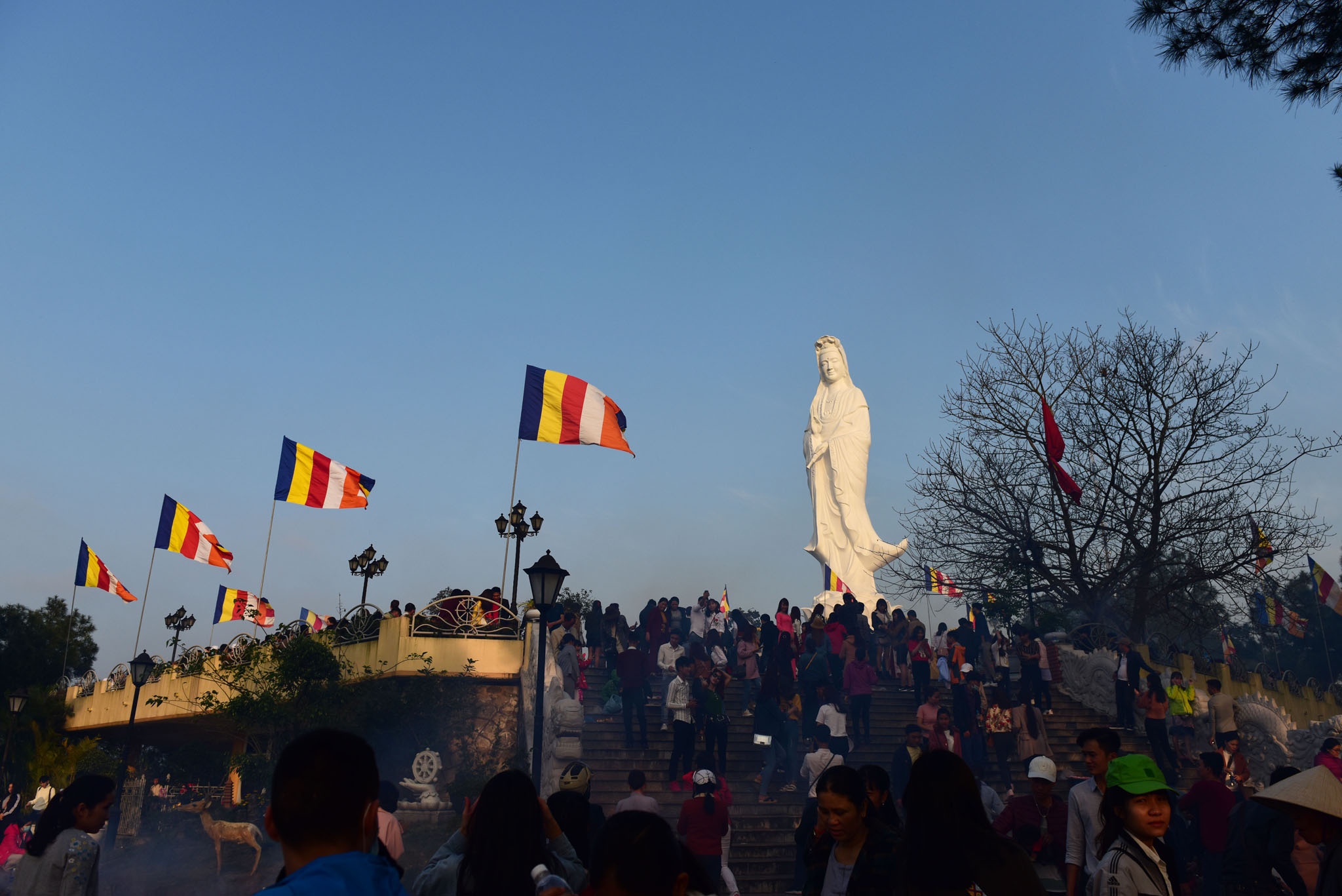 Le chua dau nam anh 6