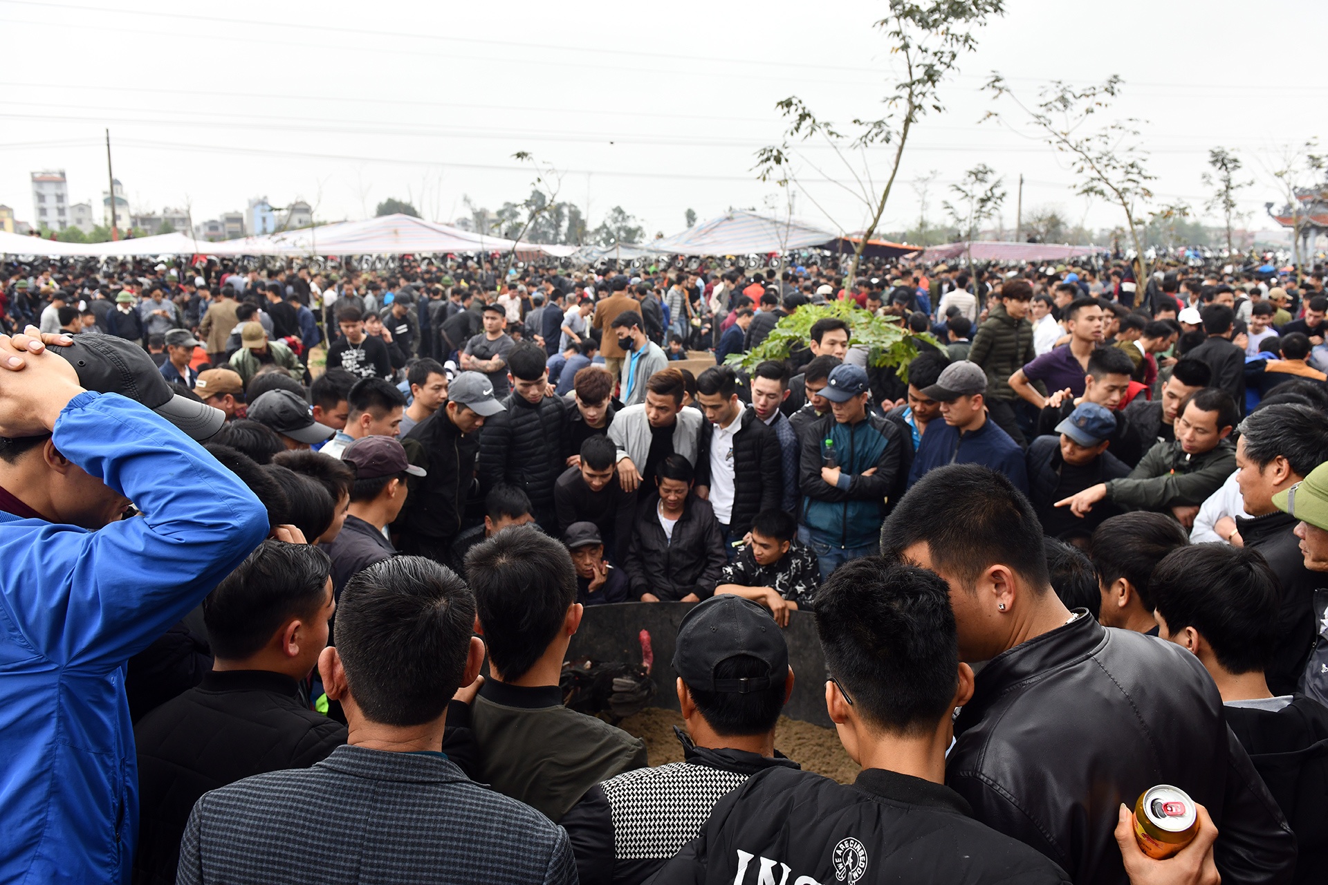 Choi ga dau nam anh 2