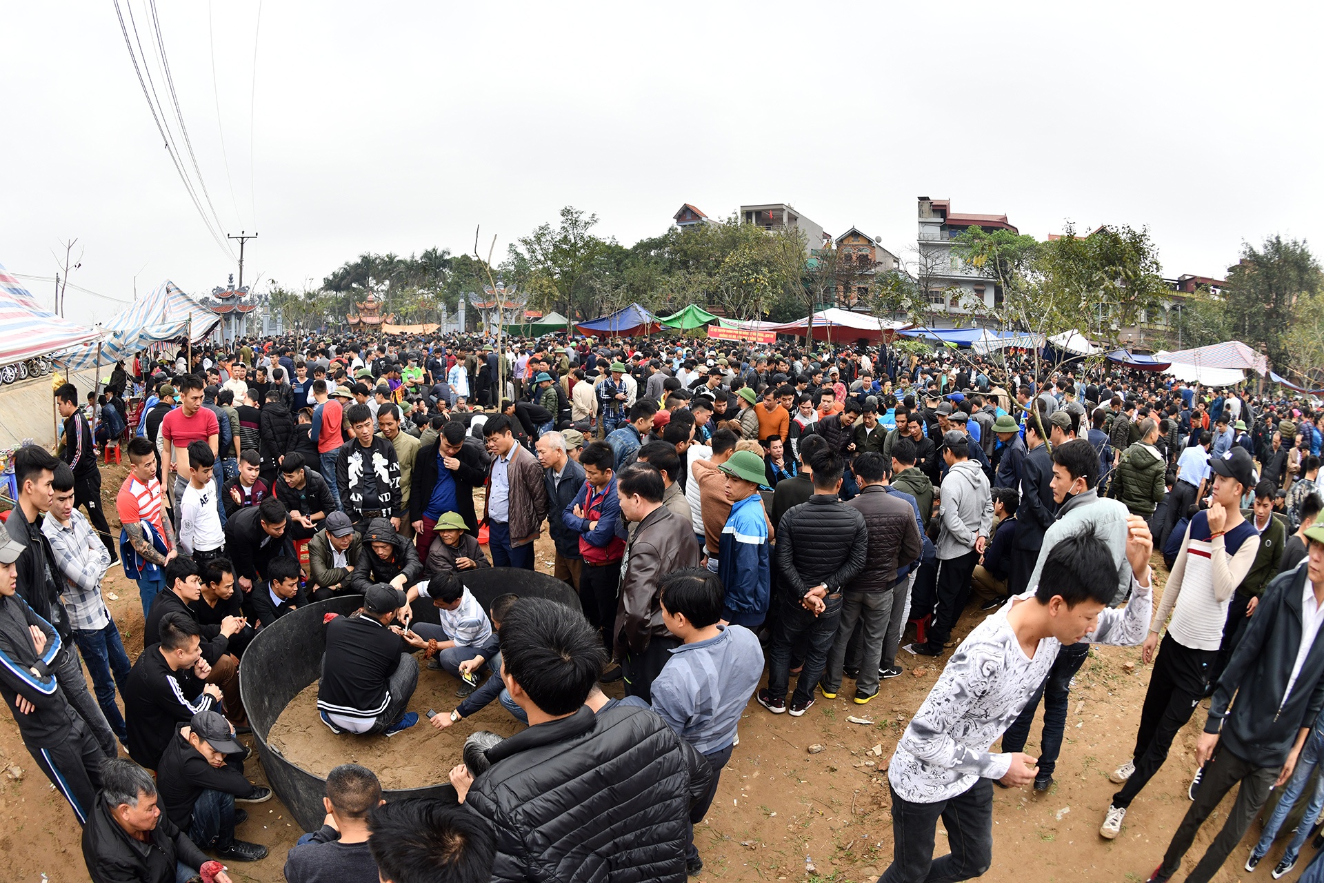 Choi ga dau nam anh 4