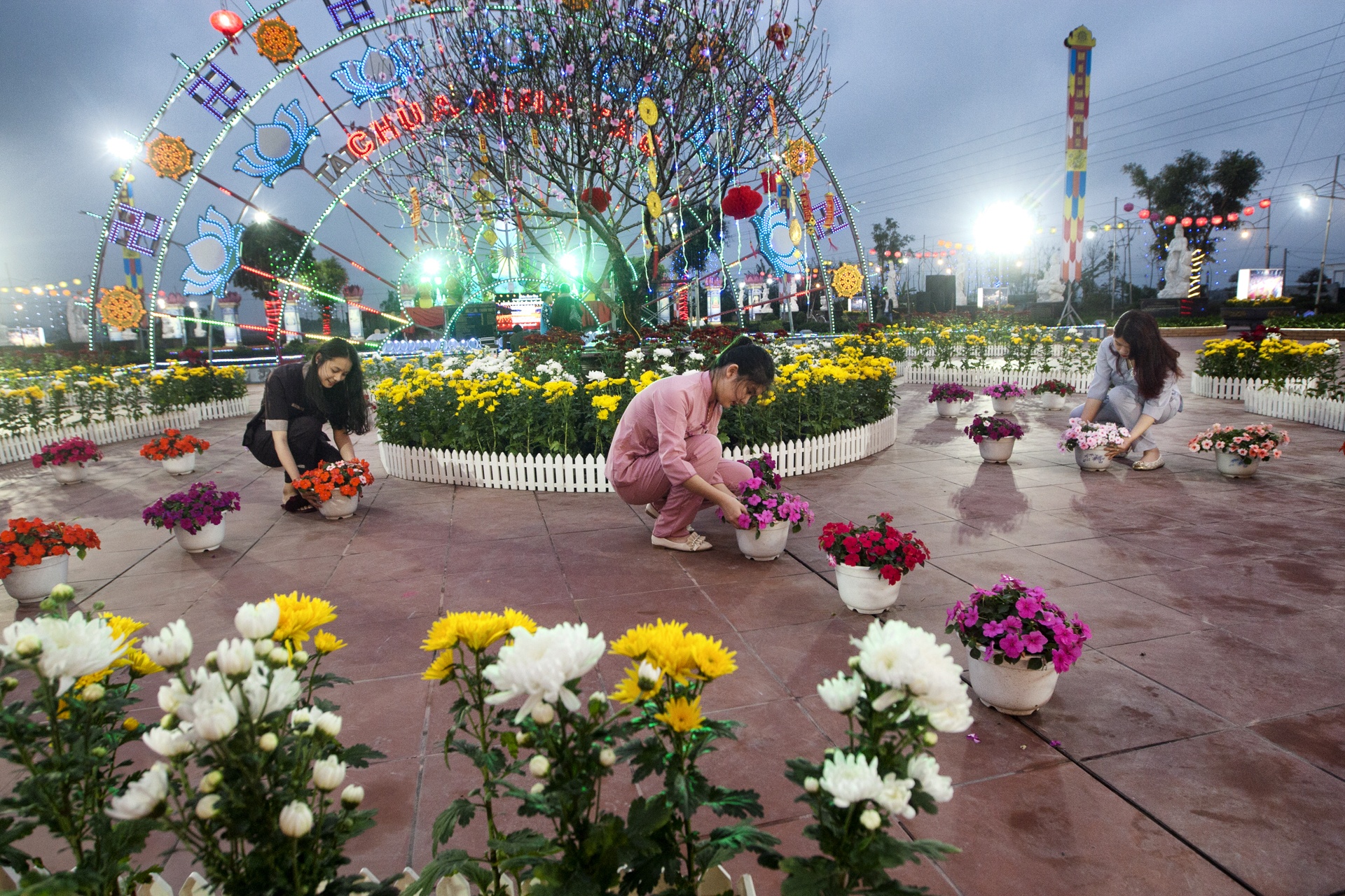 cau an dau nam moi anh 1