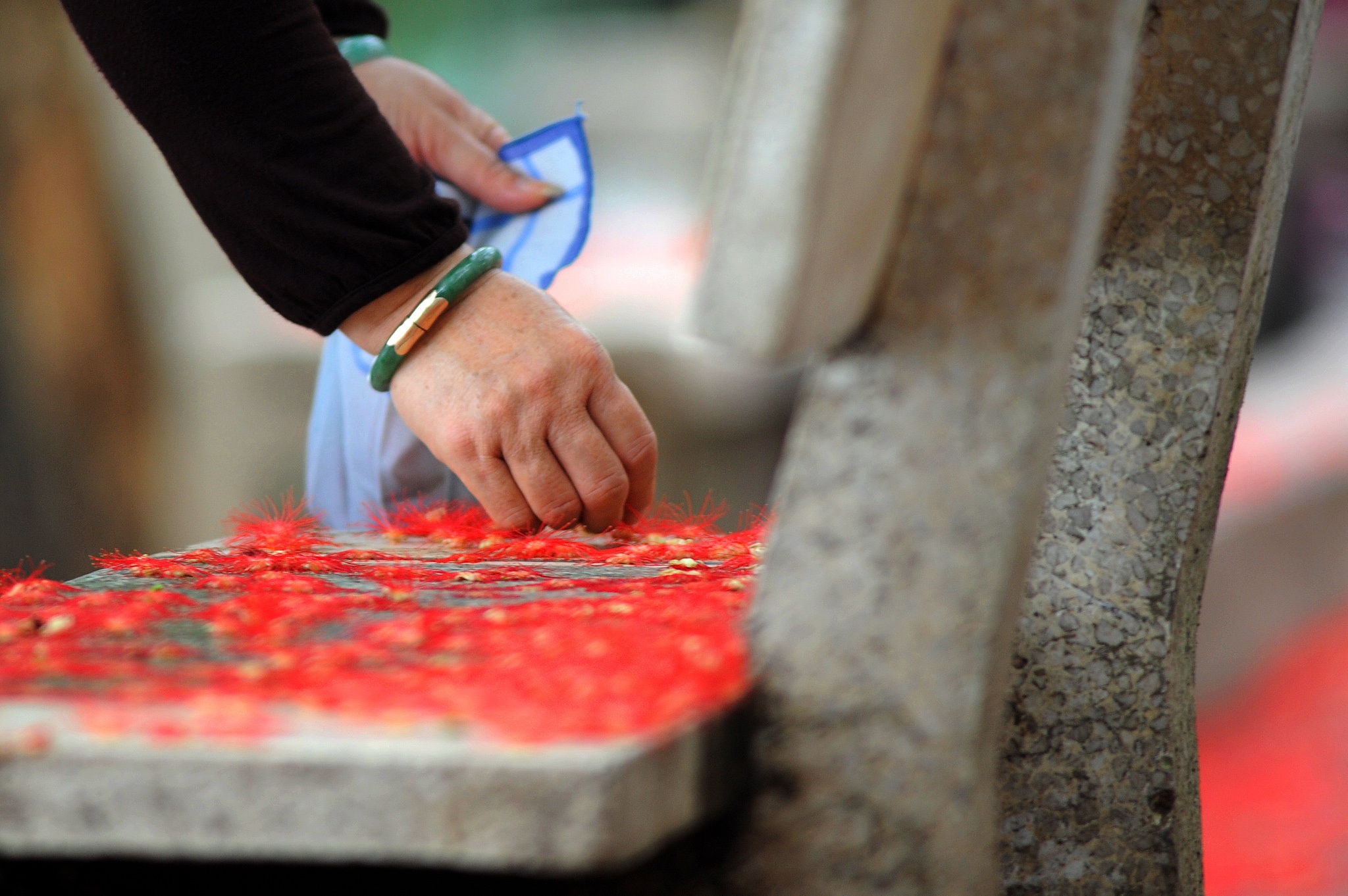 nhung mua hoa o Ha Noi anh 17