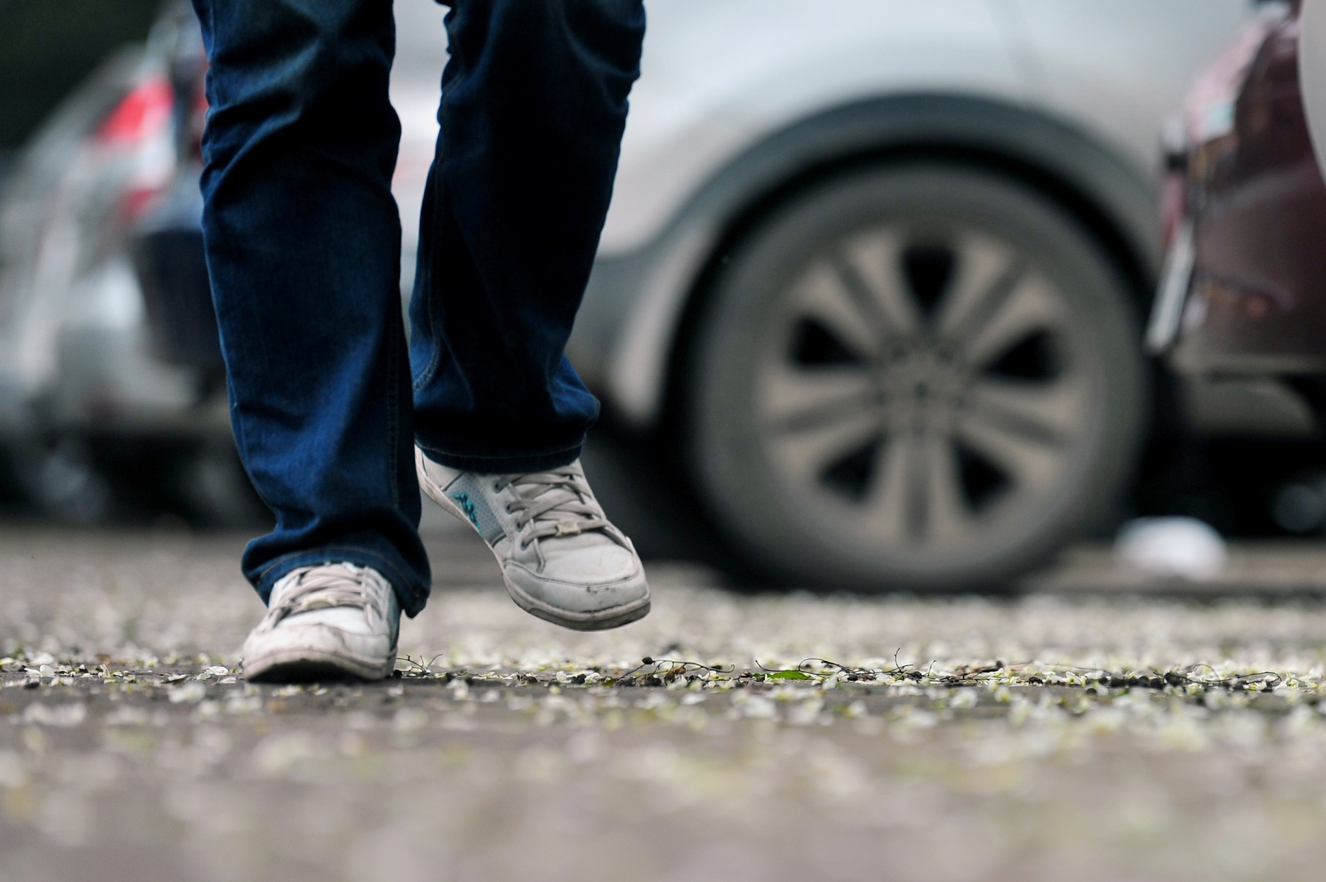 nhung mua hoa o Ha Noi anh 53