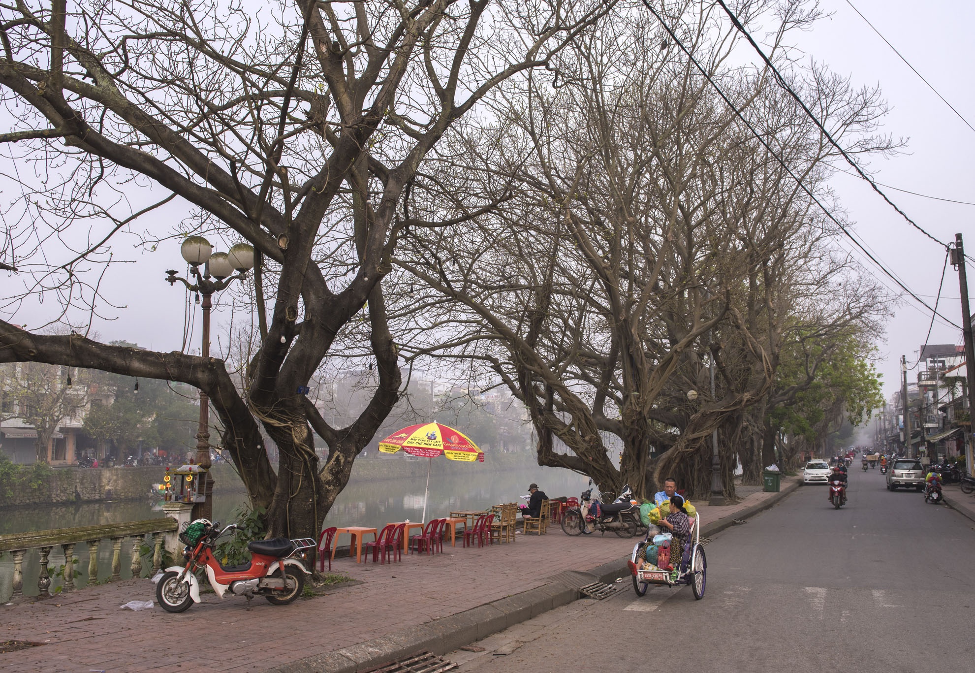 Huế thay lá hàng cây ảnh 6 Hue thay la hang cay anh 6