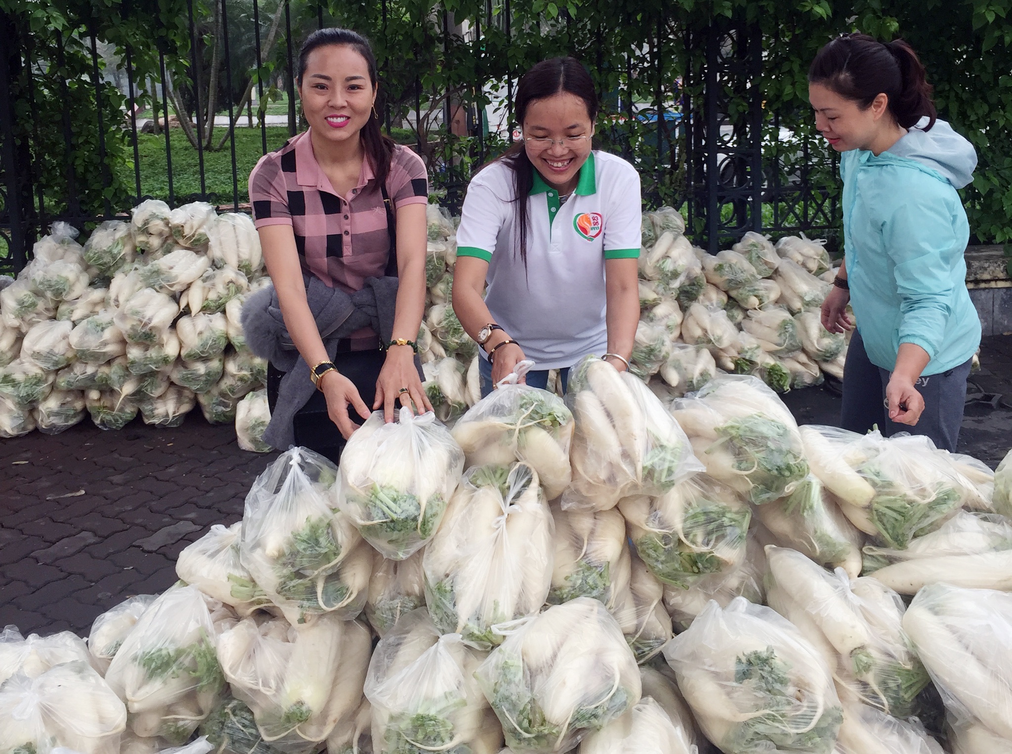 giai cuu cu cai anh 1