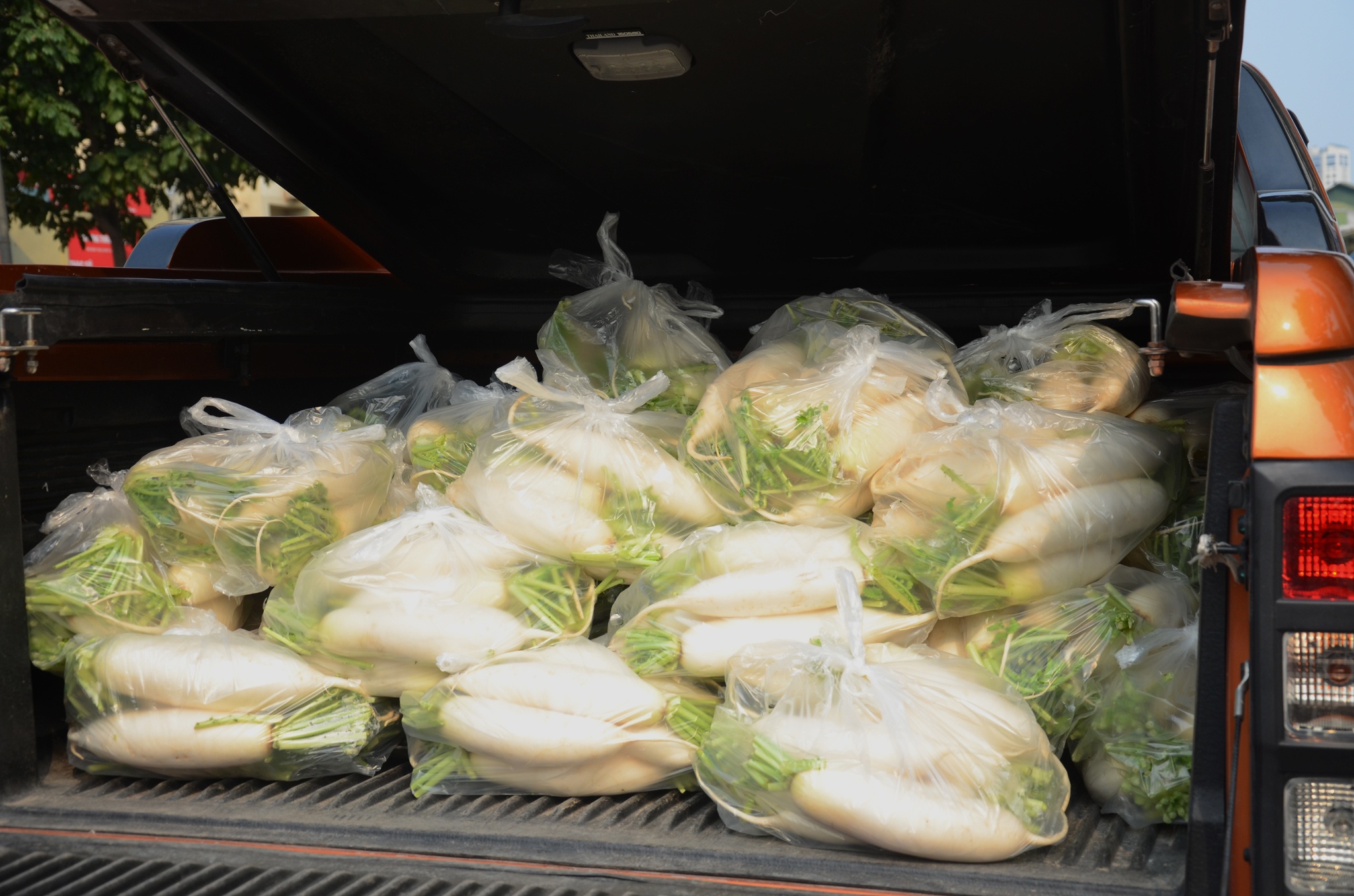 giai cuu cu cai anh 9