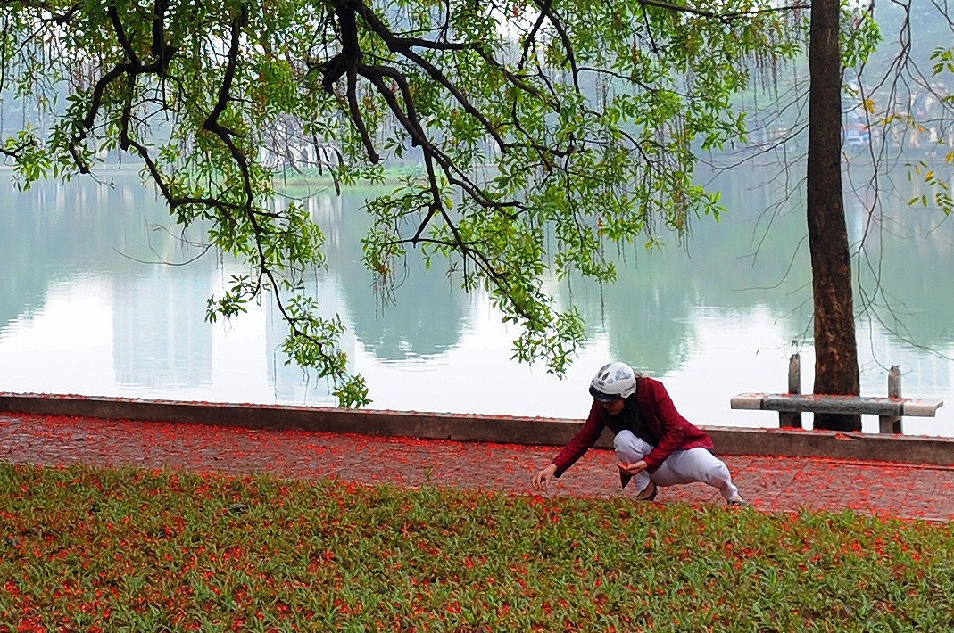 hoa loc vung ben ho Guom anh 13
