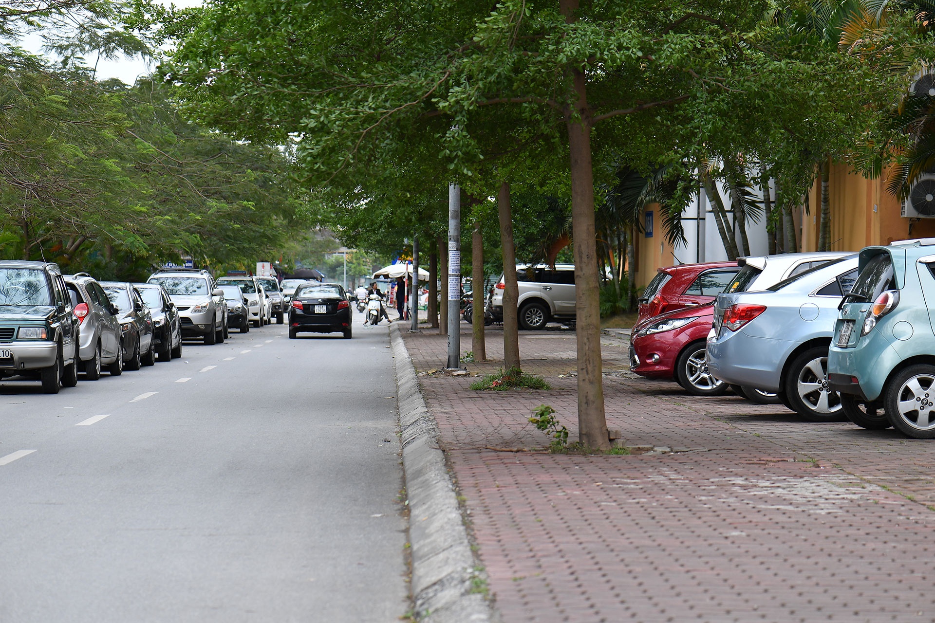 bai do xe o Nam Trung Yen anh 14