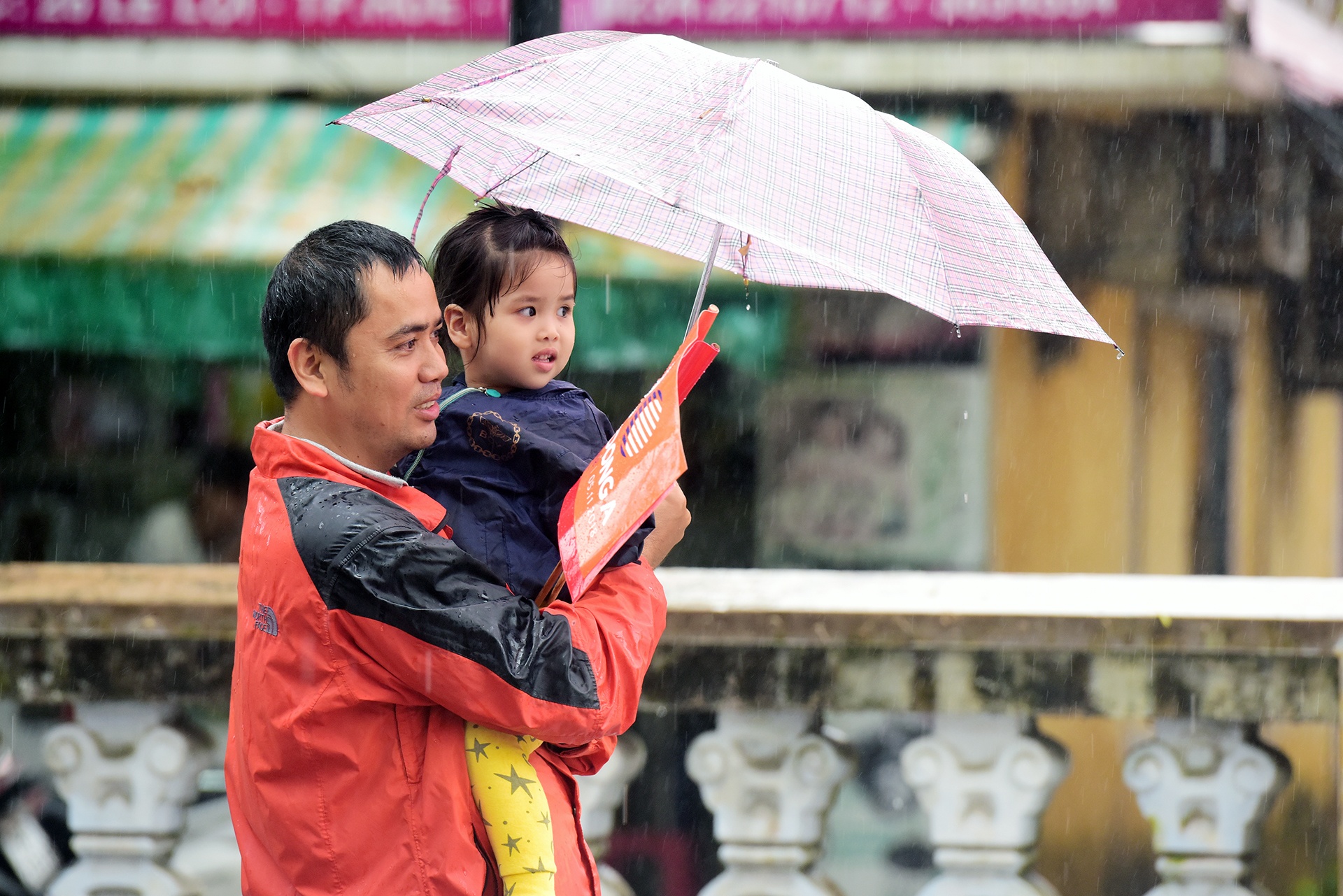 dua xe dap o Hue anh 7