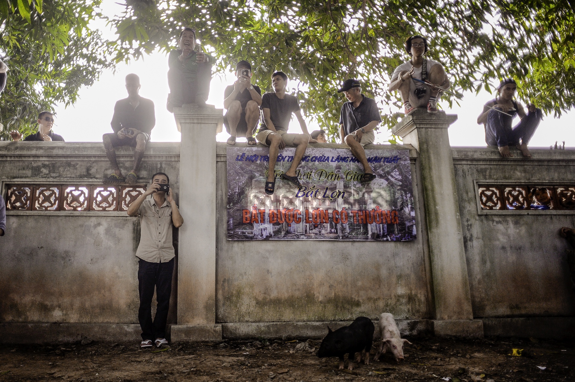 hoi chua Lang anh 12