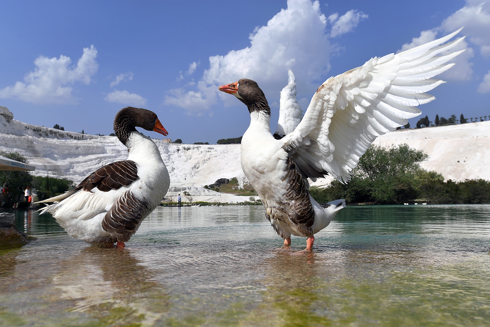 60 phut o lau dai bong Pamukkale ky dieu hinh anh