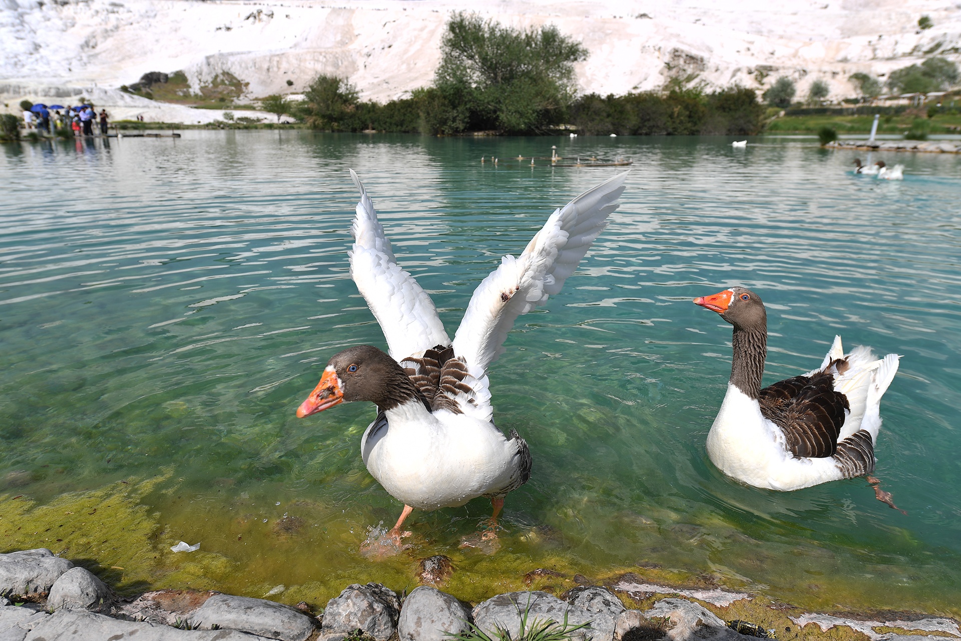 lau dai bong Pamukkale o Tho Nhi Ky anh 9