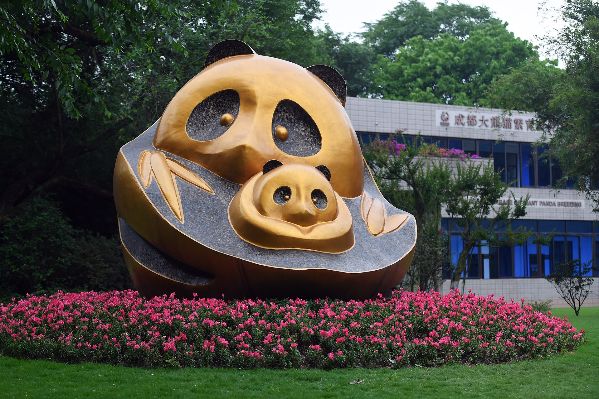 Cong vien gau truc o Tu Xuyen anh 5