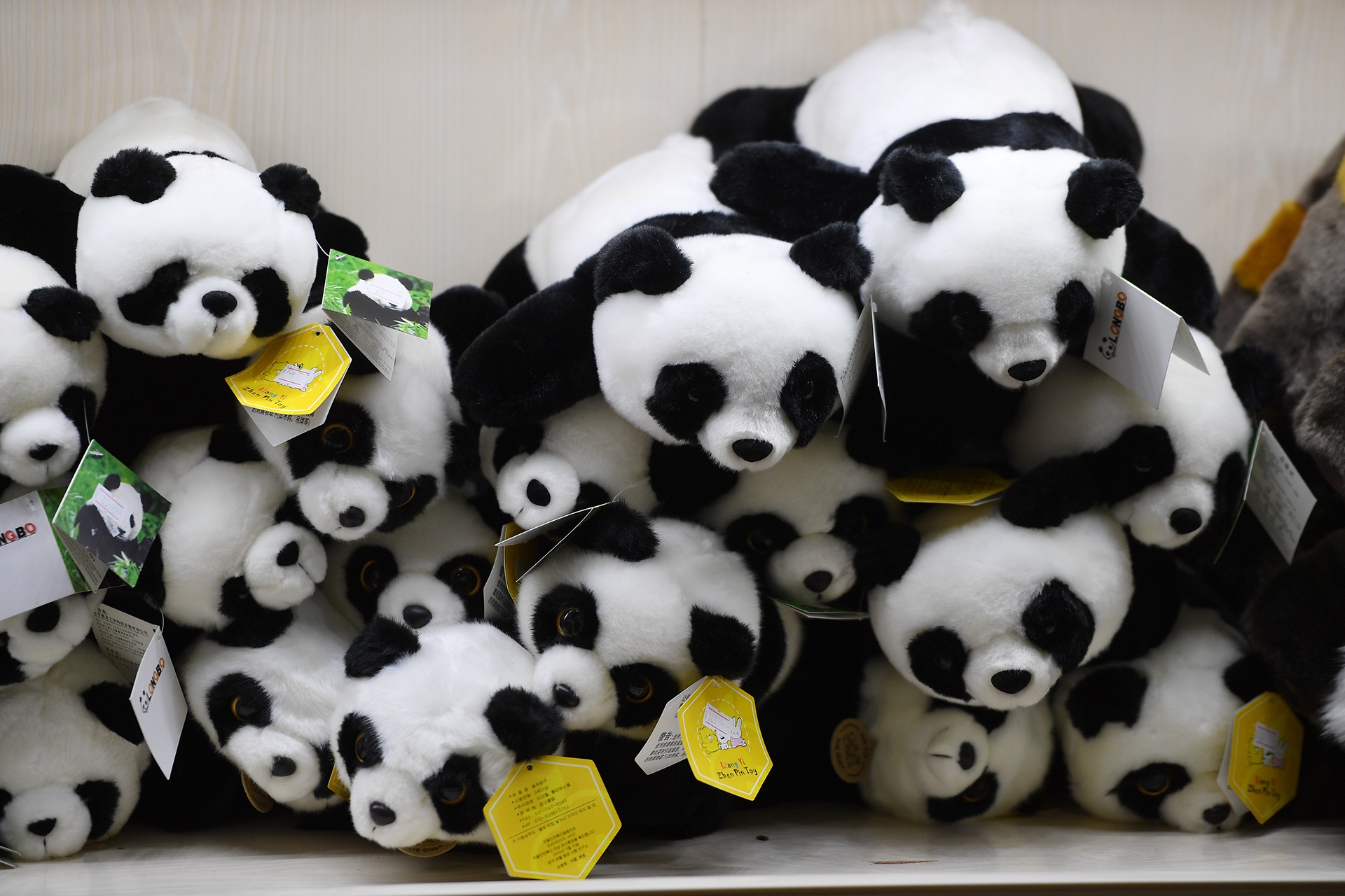 Cong vien gau truc o Tu Xuyen anh 14