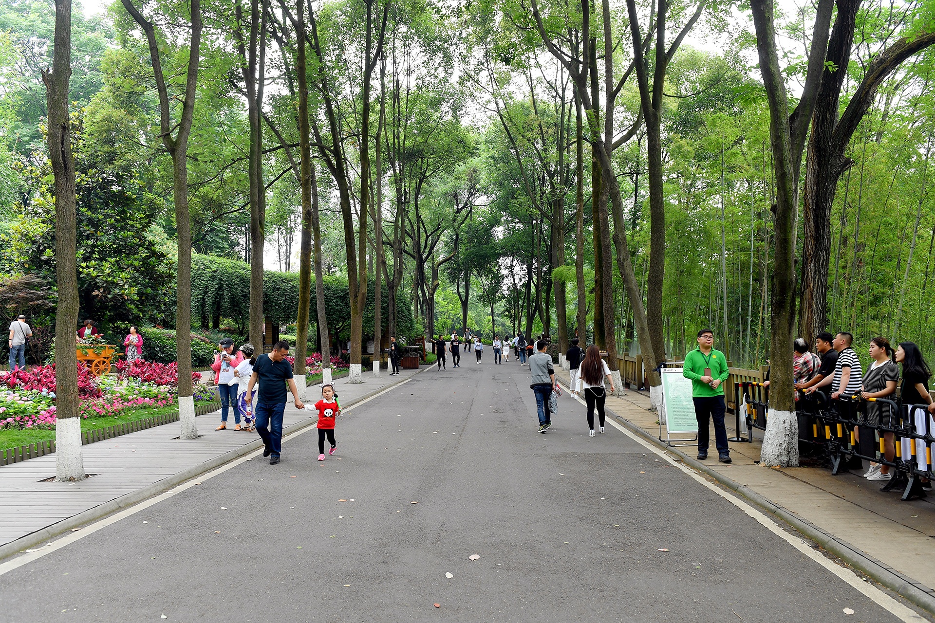 Cong vien gau truc o Tu Xuyen anh 2