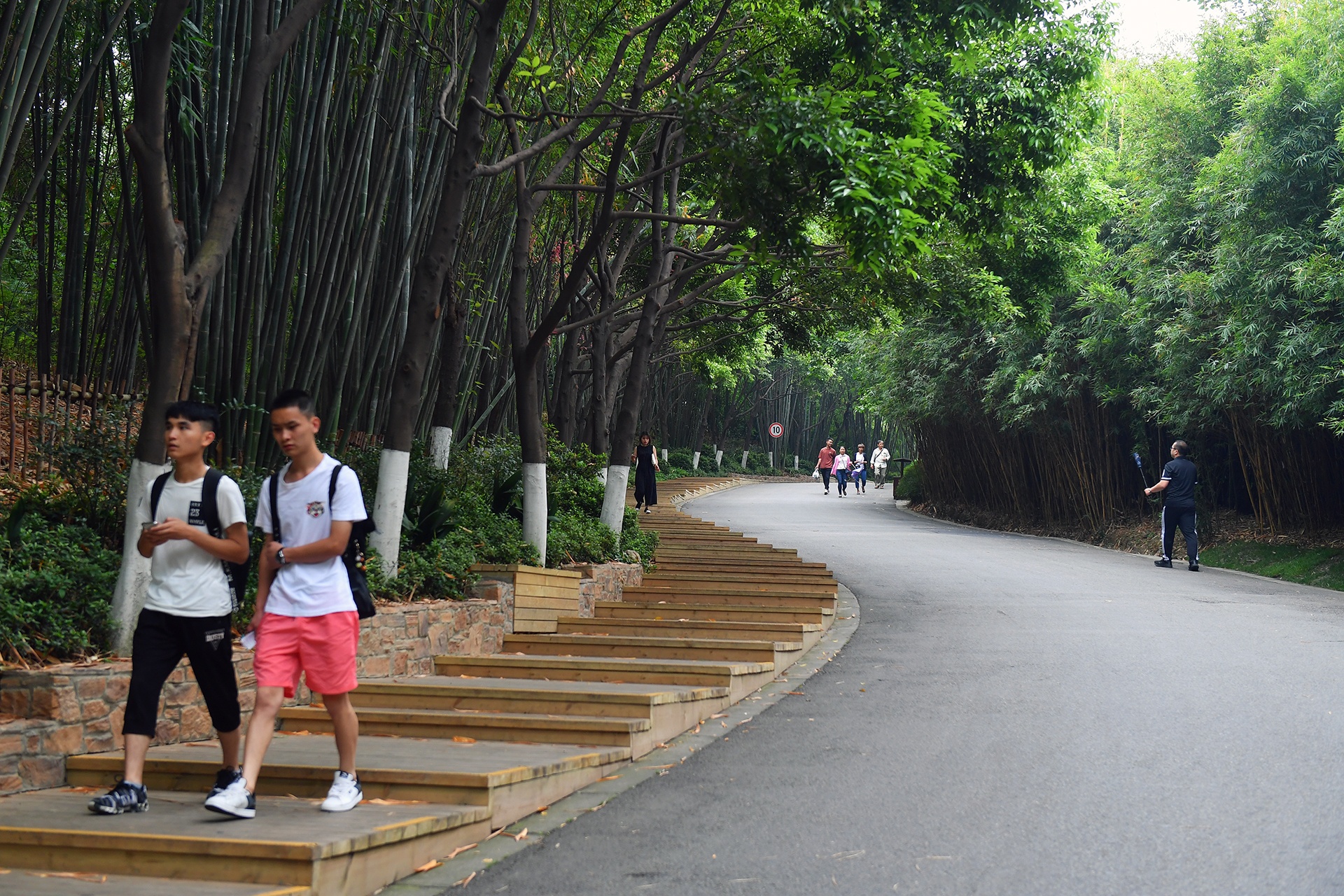 Cong vien gau truc o Tu Xuyen anh 3