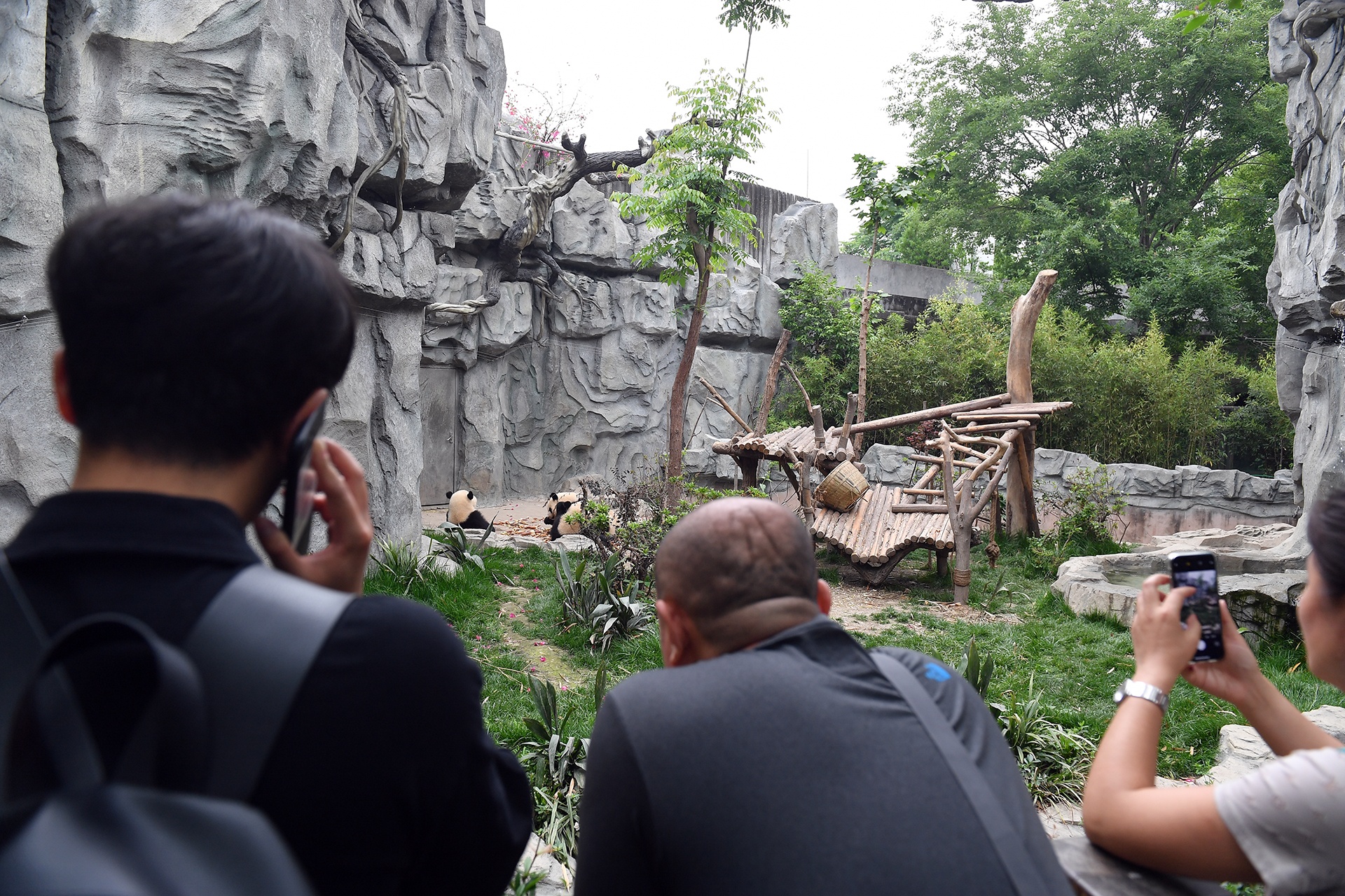 Cong vien gau truc o Tu Xuyen anh 8