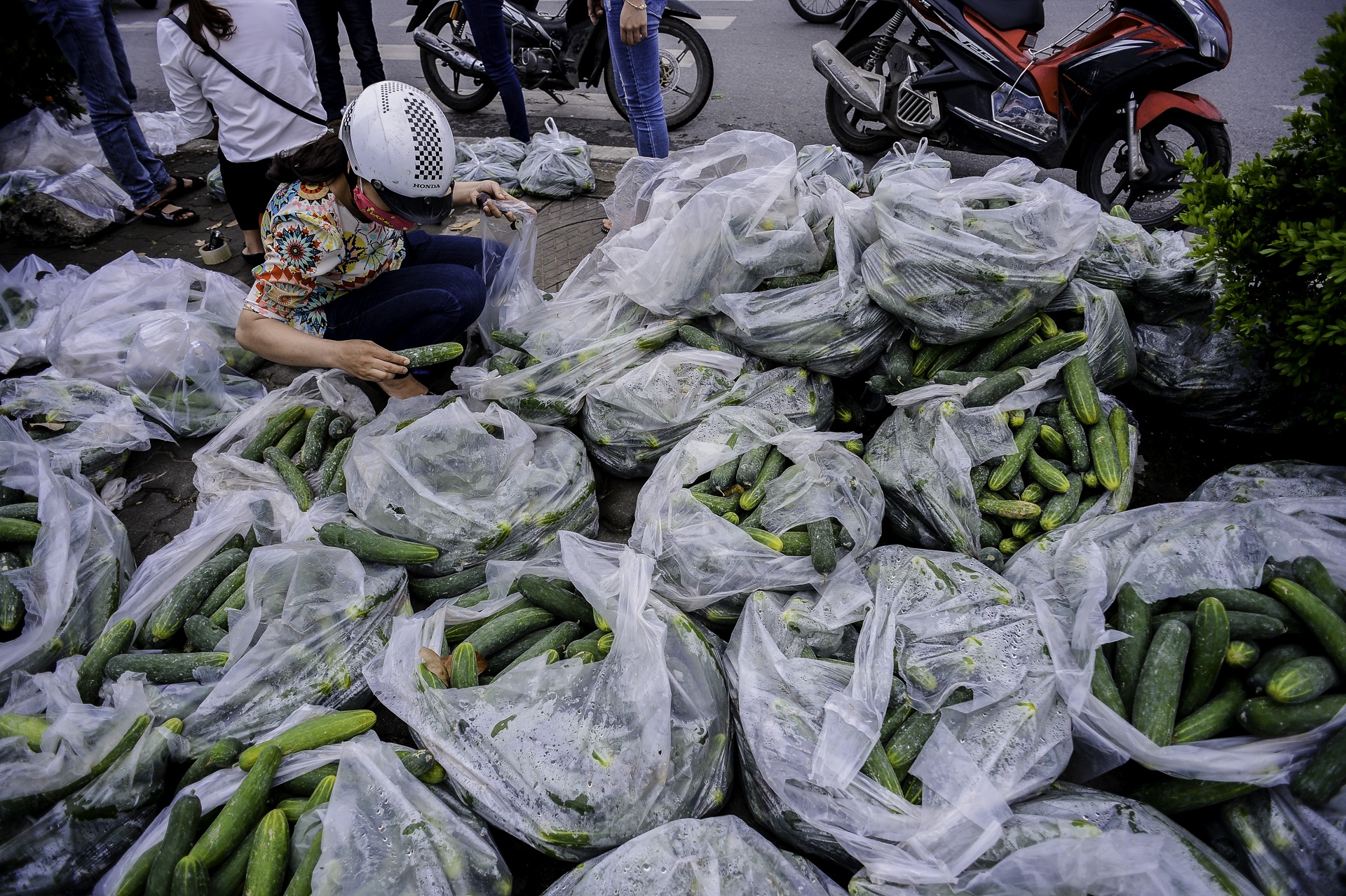 giai cuu dua chuot cho nong dan anh 1