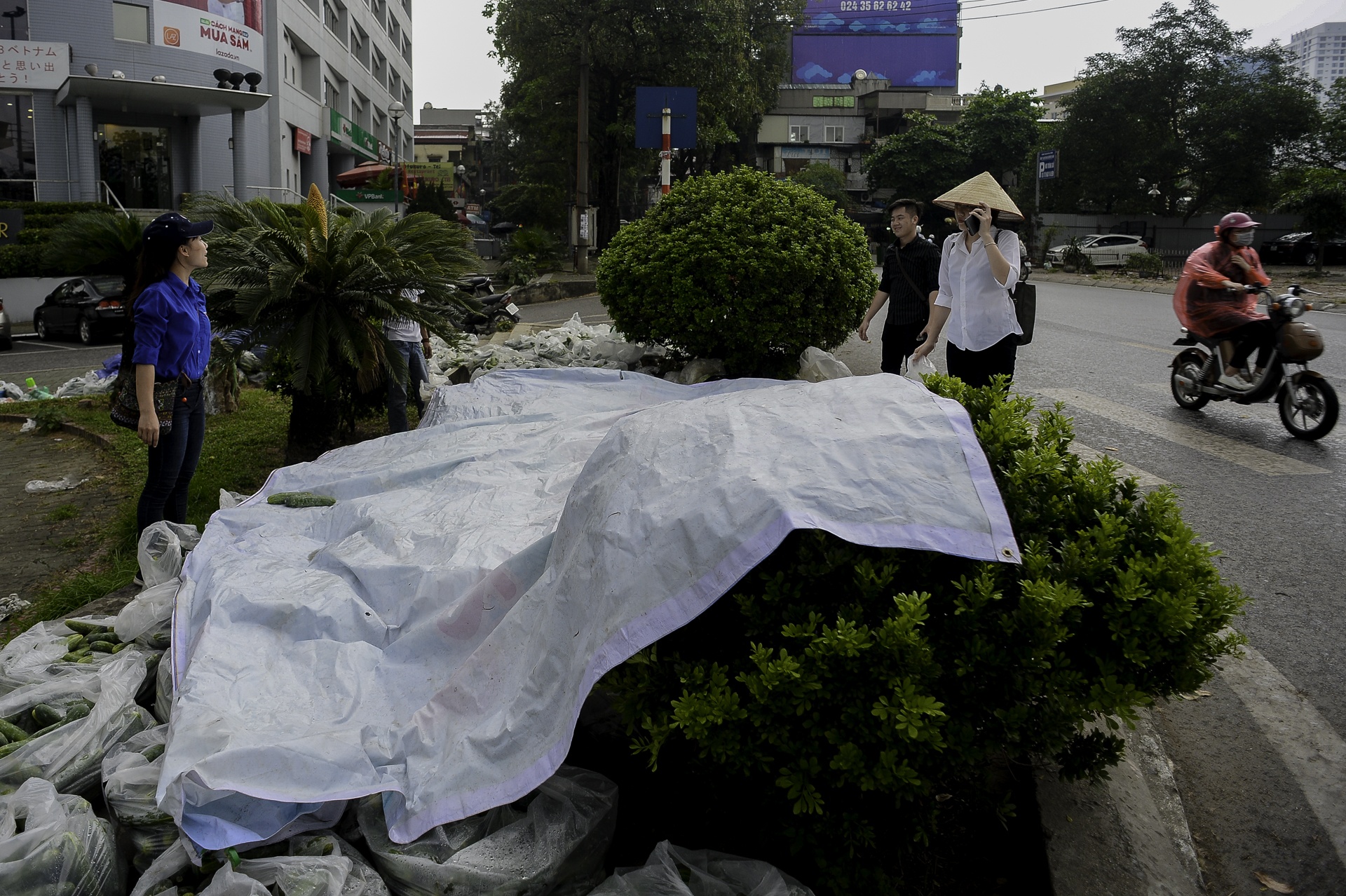 giai cuu dua chuot cho nong dan anh 10