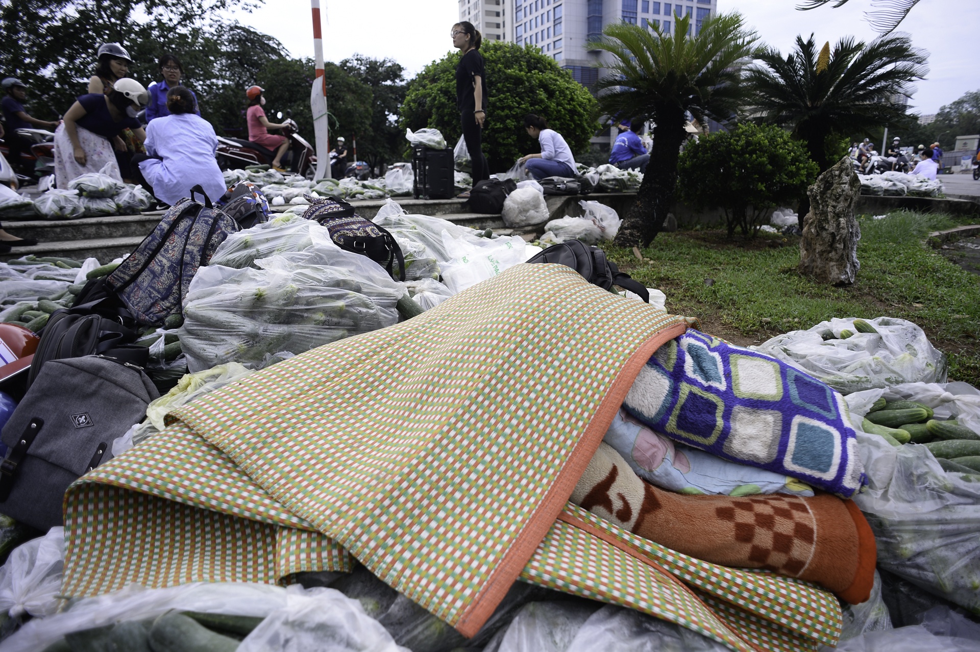 giai cuu dua chuot cho nong dan anh 11