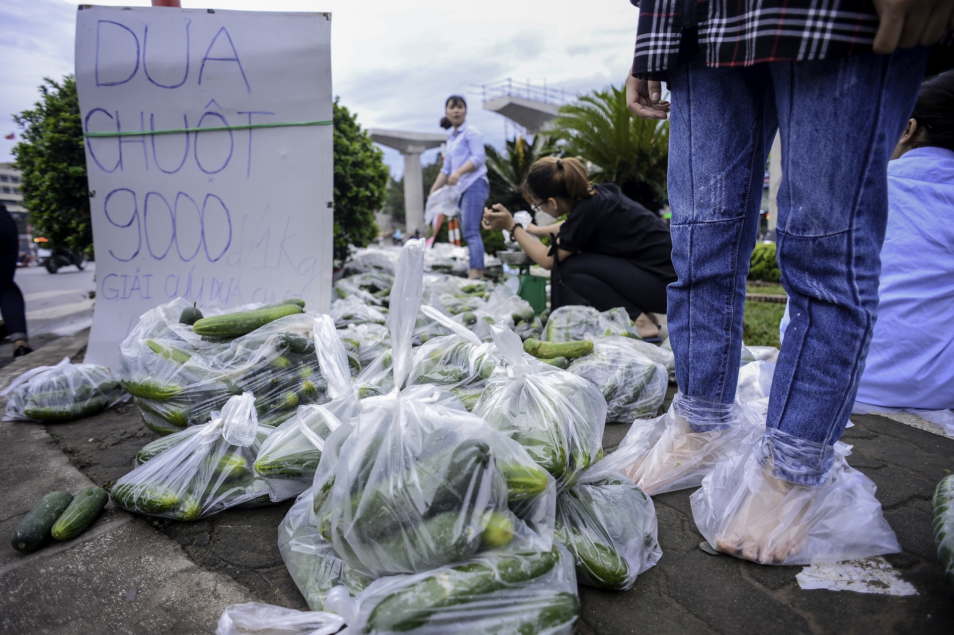 giai cuu dua chuot cho nong dan anh 12