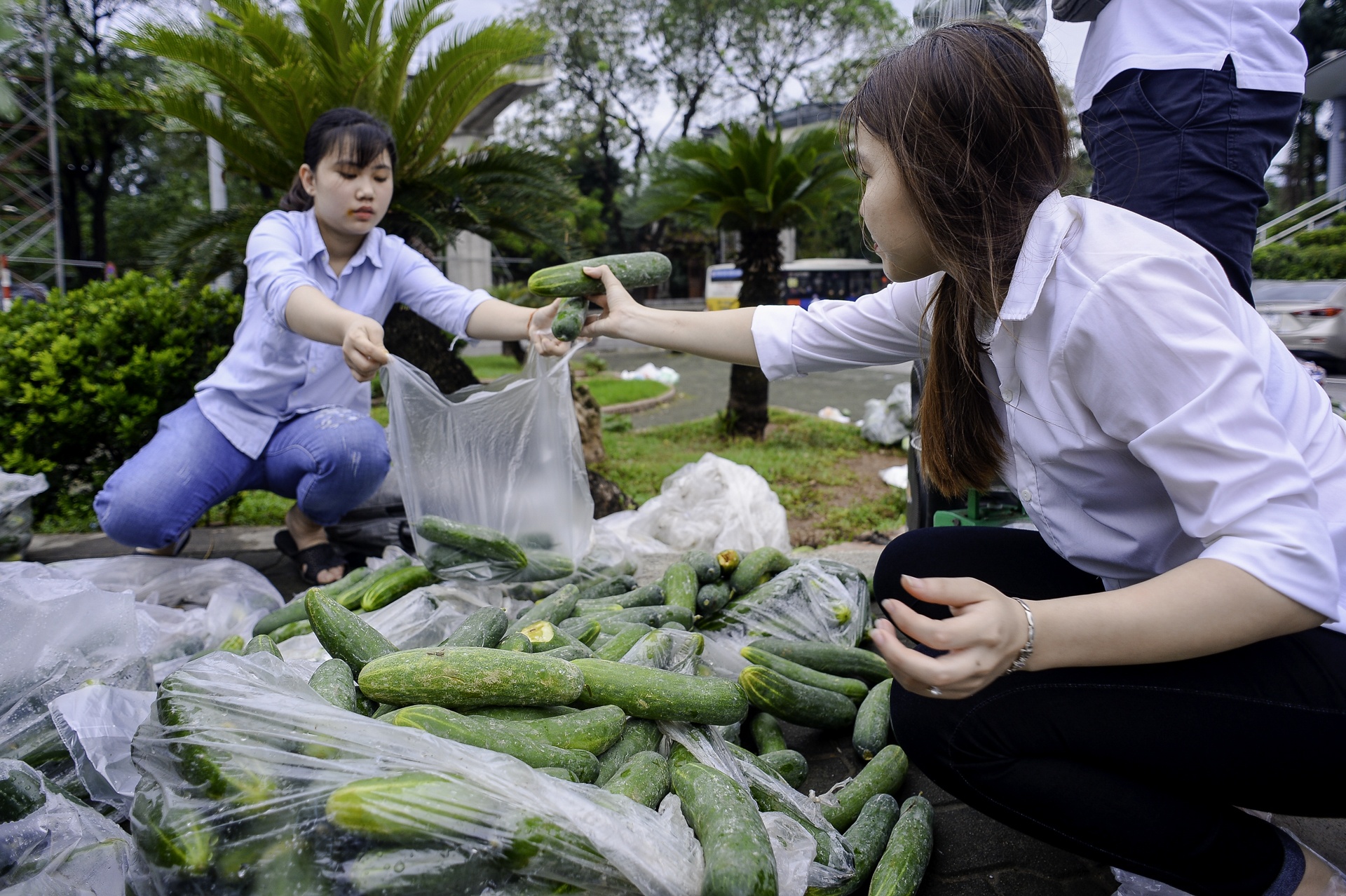 giai cuu dua chuot cho nong dan anh 7