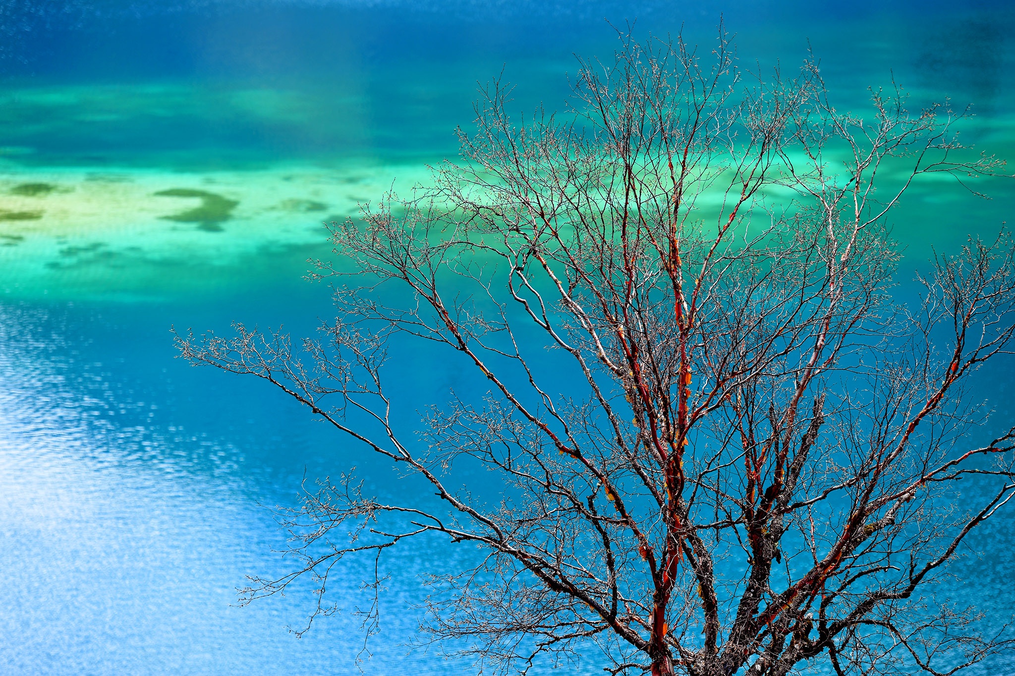 du lich Cuu Trai Cau Hoang Long Trung Quoc anh 13