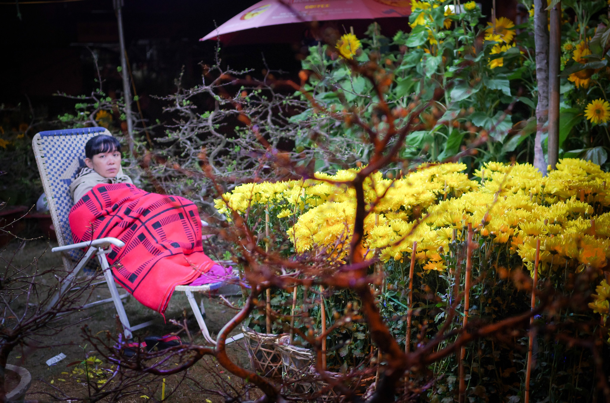 cuoc thi anh Sai Gon 2018 anh 4