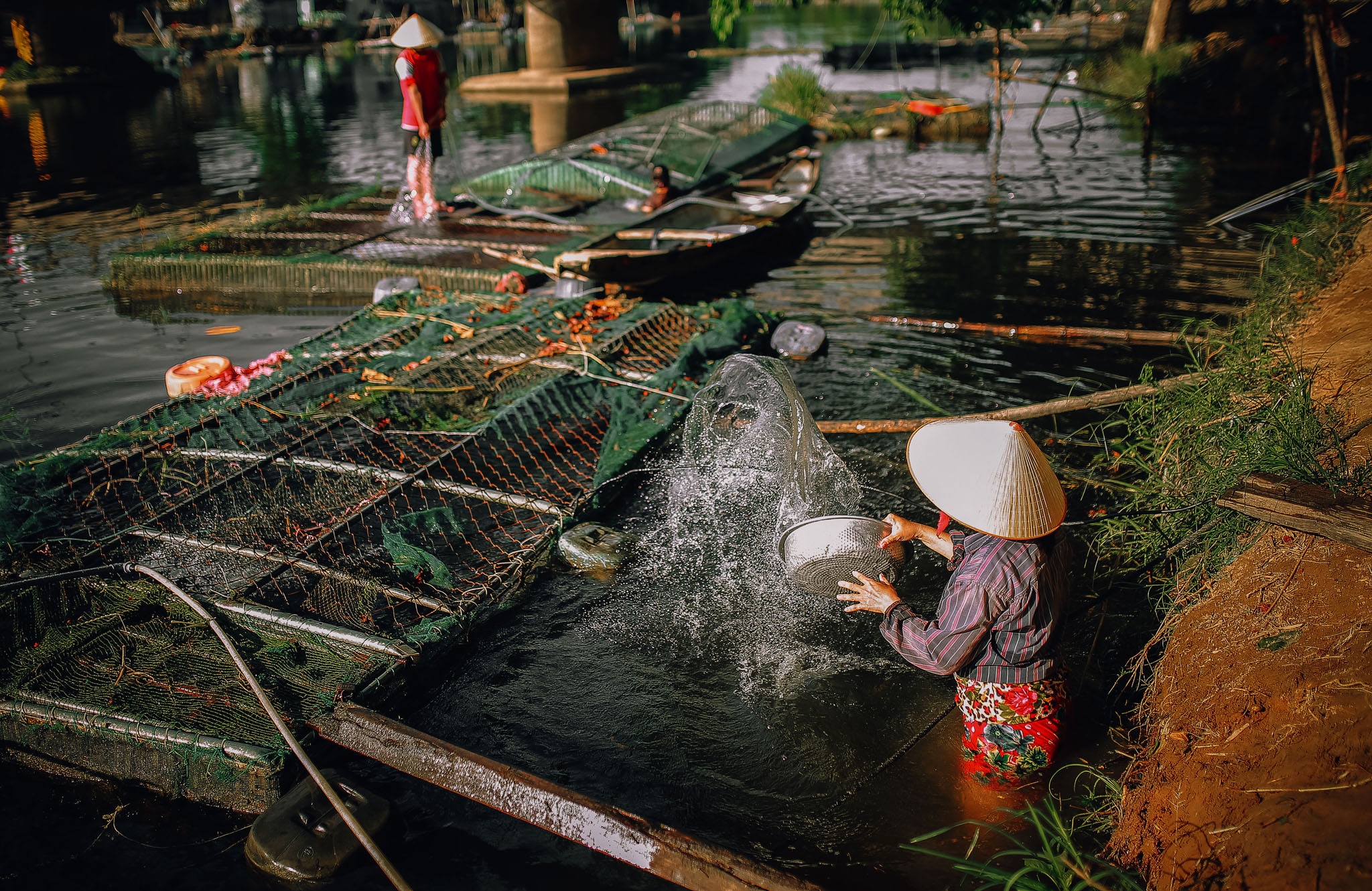 ca chet o Hue vi nang nong anh 13