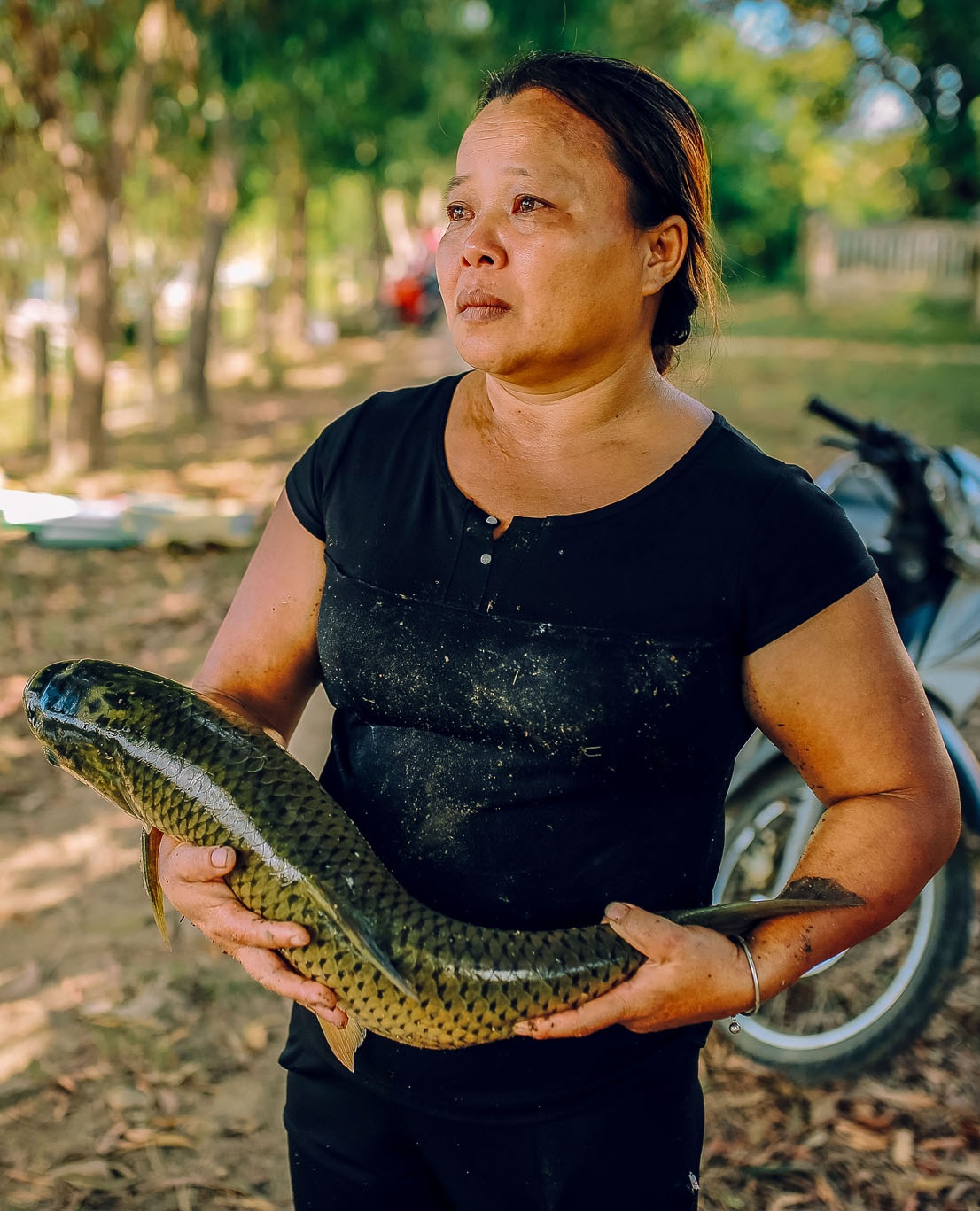 ca chet o Hue vi nang nong anh 15