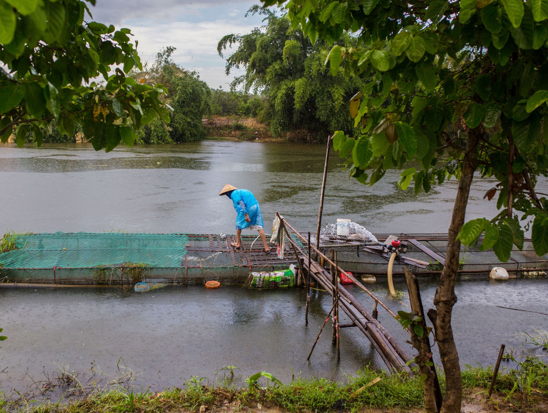 ca chet o Hue vi nang nong anh 7