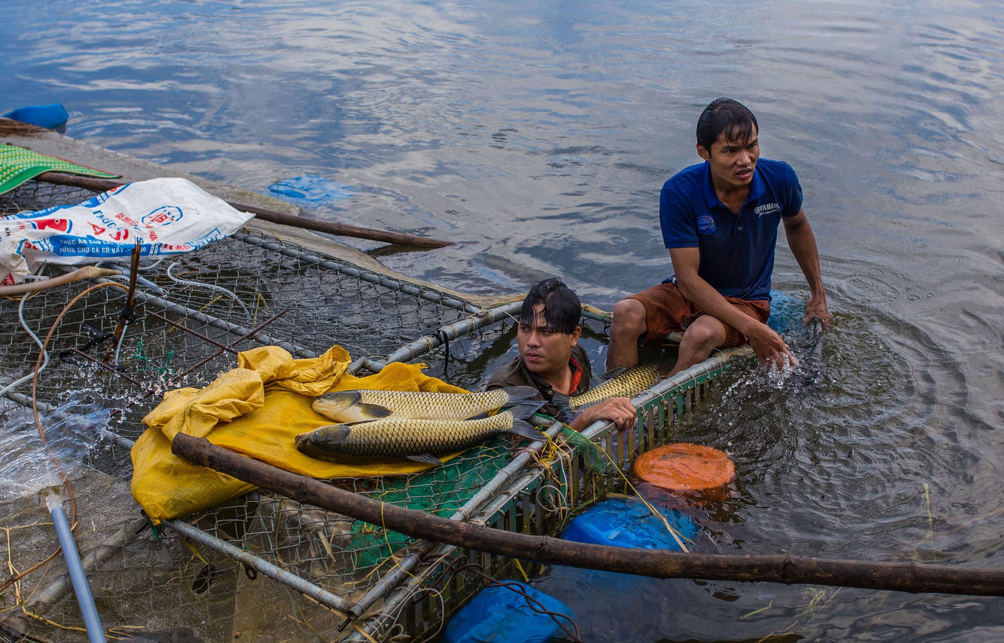 ca chet o Hue vi nang nong anh 8