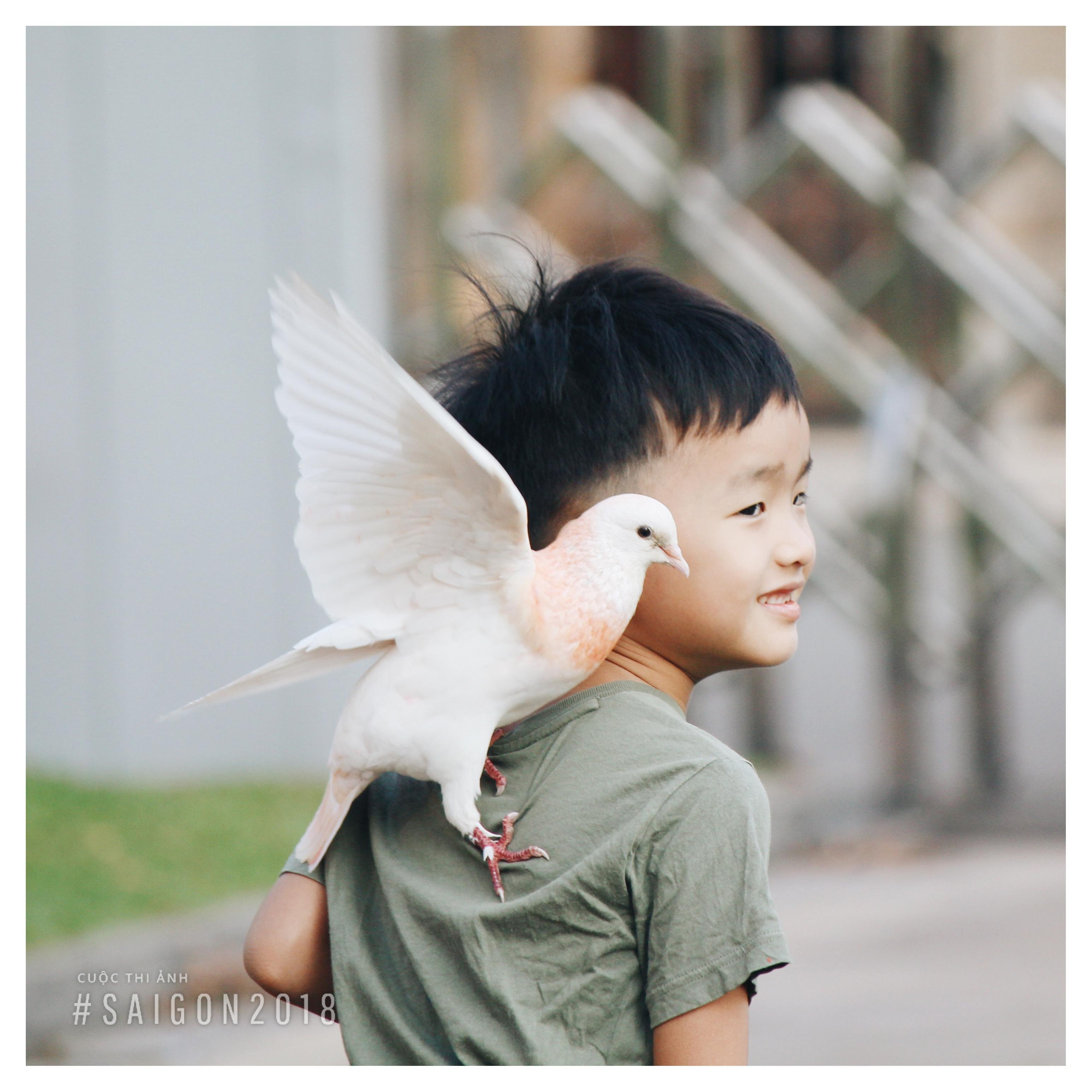 cuoc thi anh Sai Gon 2018 anh 6