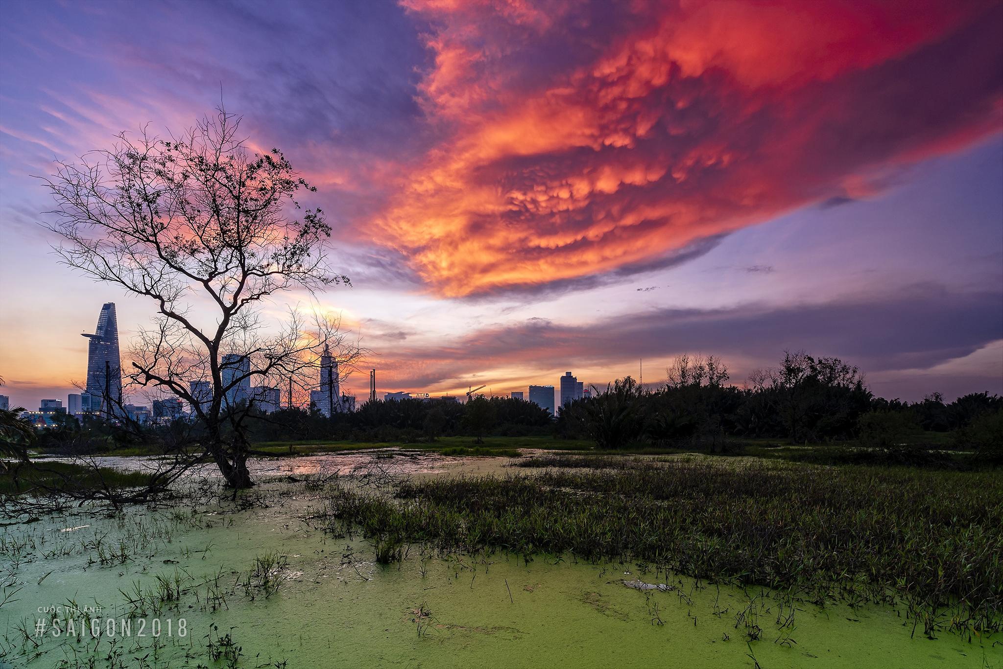 toan canh Sai Gon anh 6