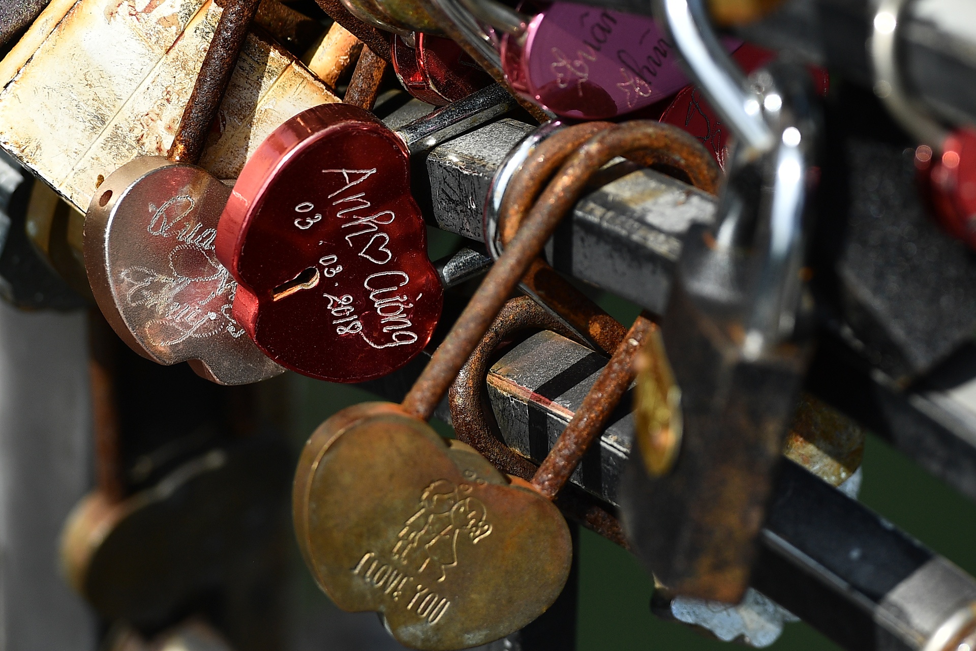 cau tau tinh yeu o Da Nang anh 10