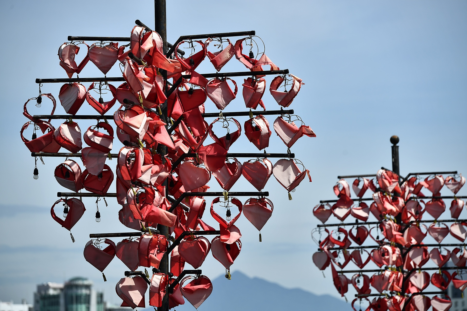 cau tau tinh yeu o Da Nang anh 4