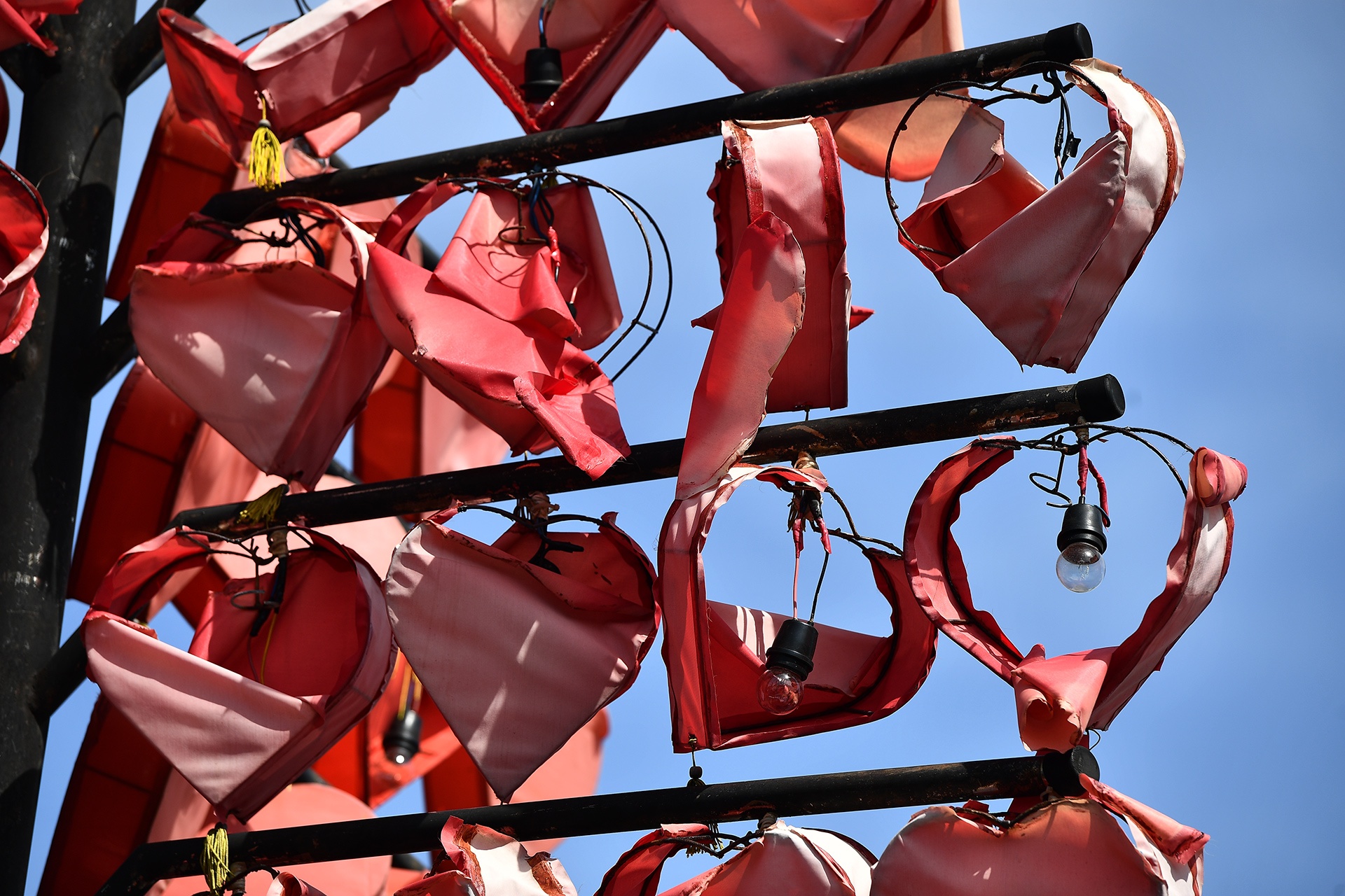 cau tau tinh yeu o Da Nang anh 5