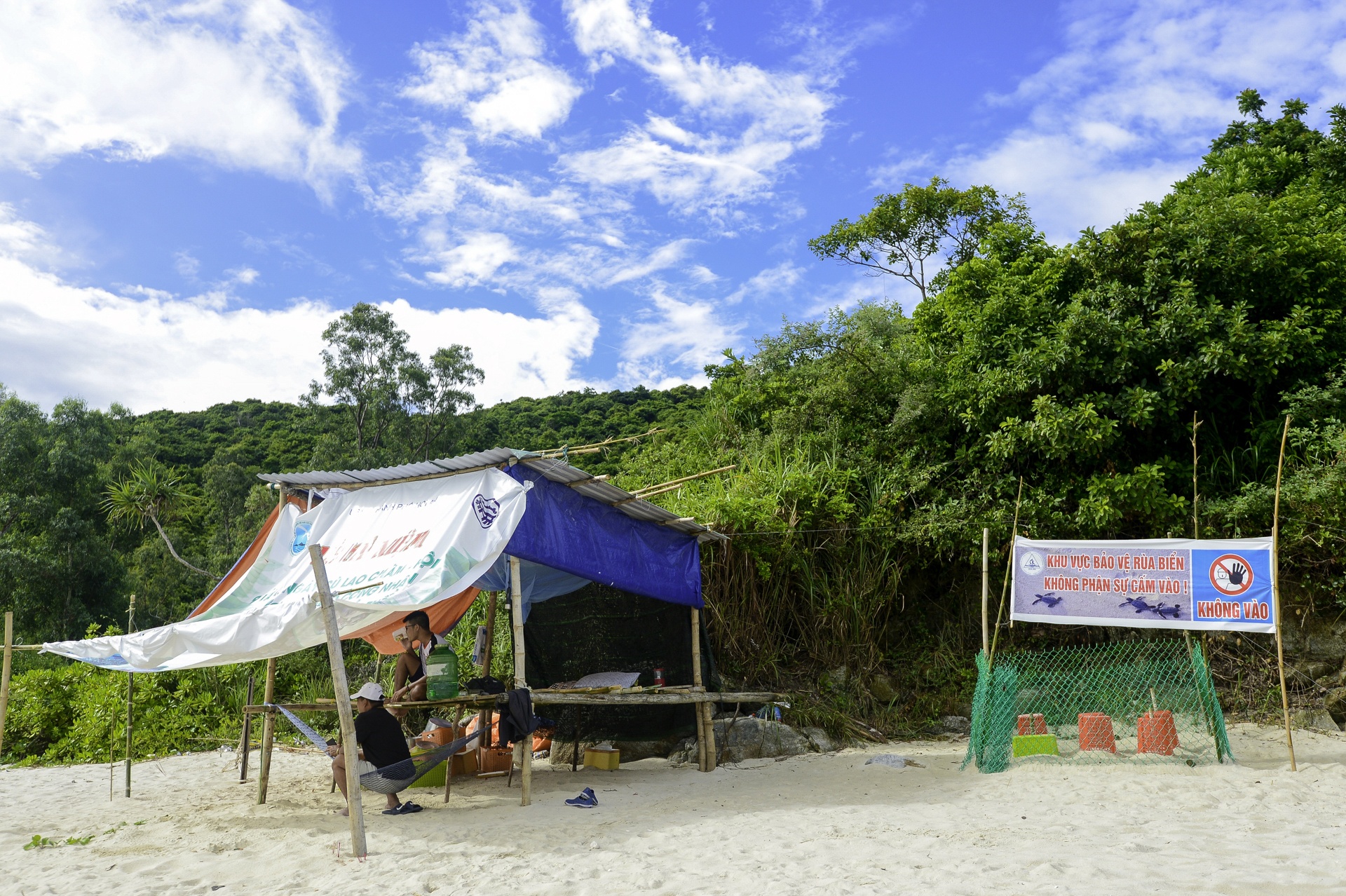 Rua bien moi no o Cu Lao Cham anh 6