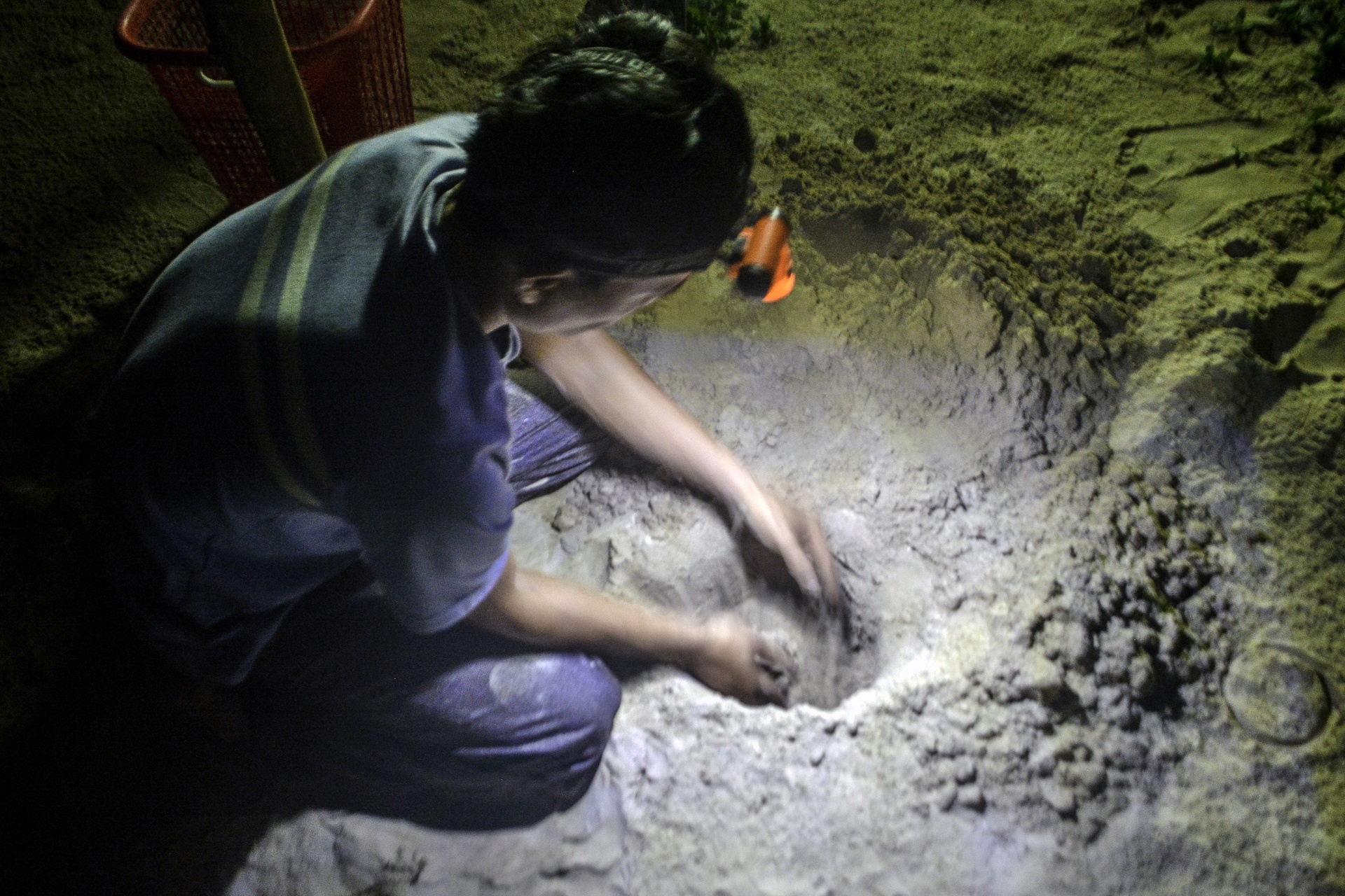 Rua bien moi no o Cu Lao Cham anh 7