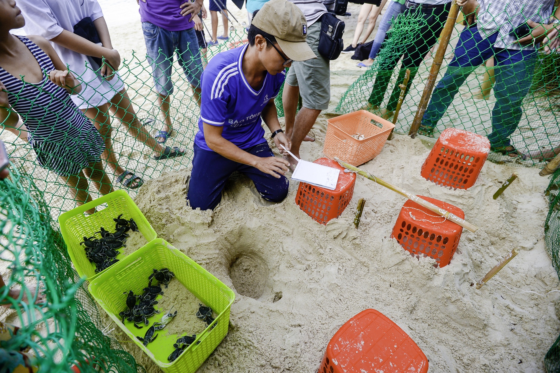 Rua bien moi no o Cu Lao Cham anh 9