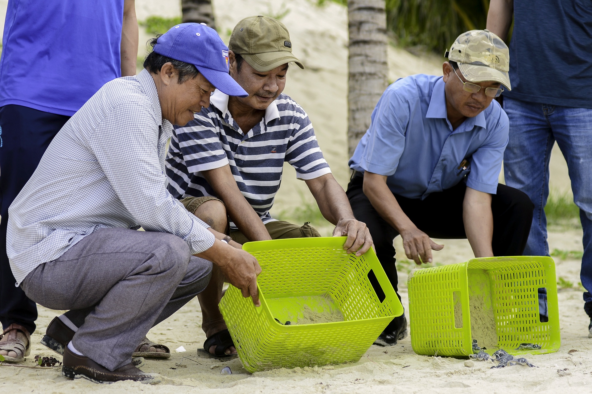 Rua bien moi no o Cu Lao Cham anh 1