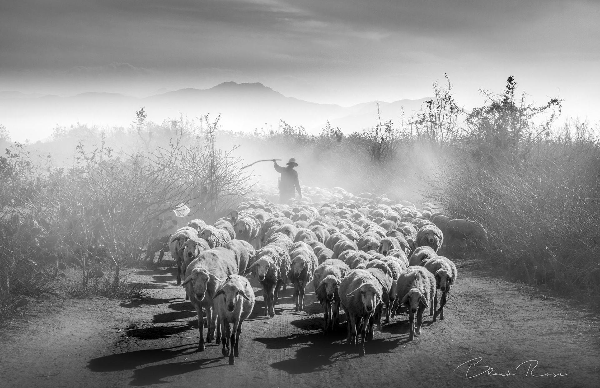 cuoc thi anh Sai Gon 2018 anh 12