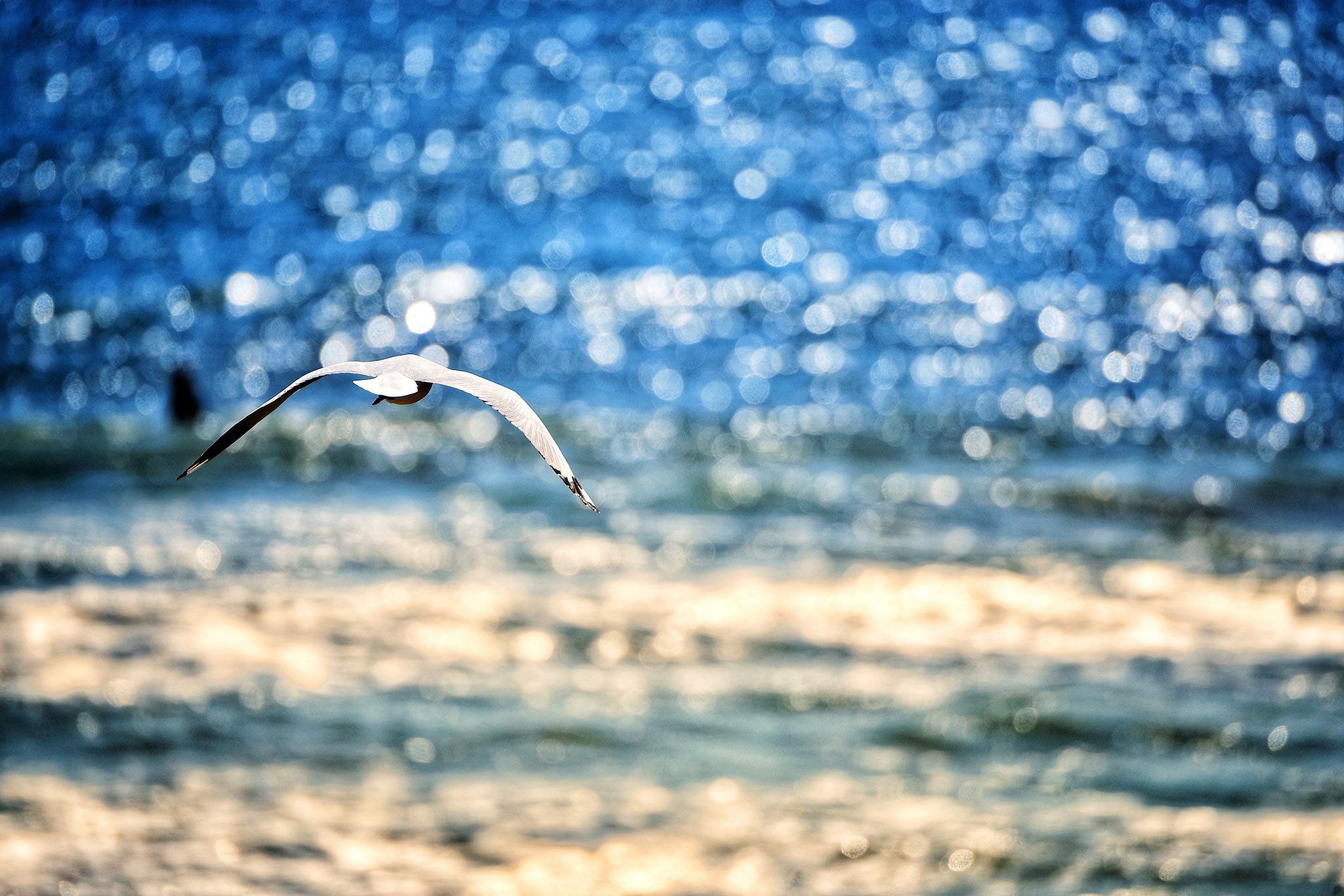 du lich Perth o Australia anh 23