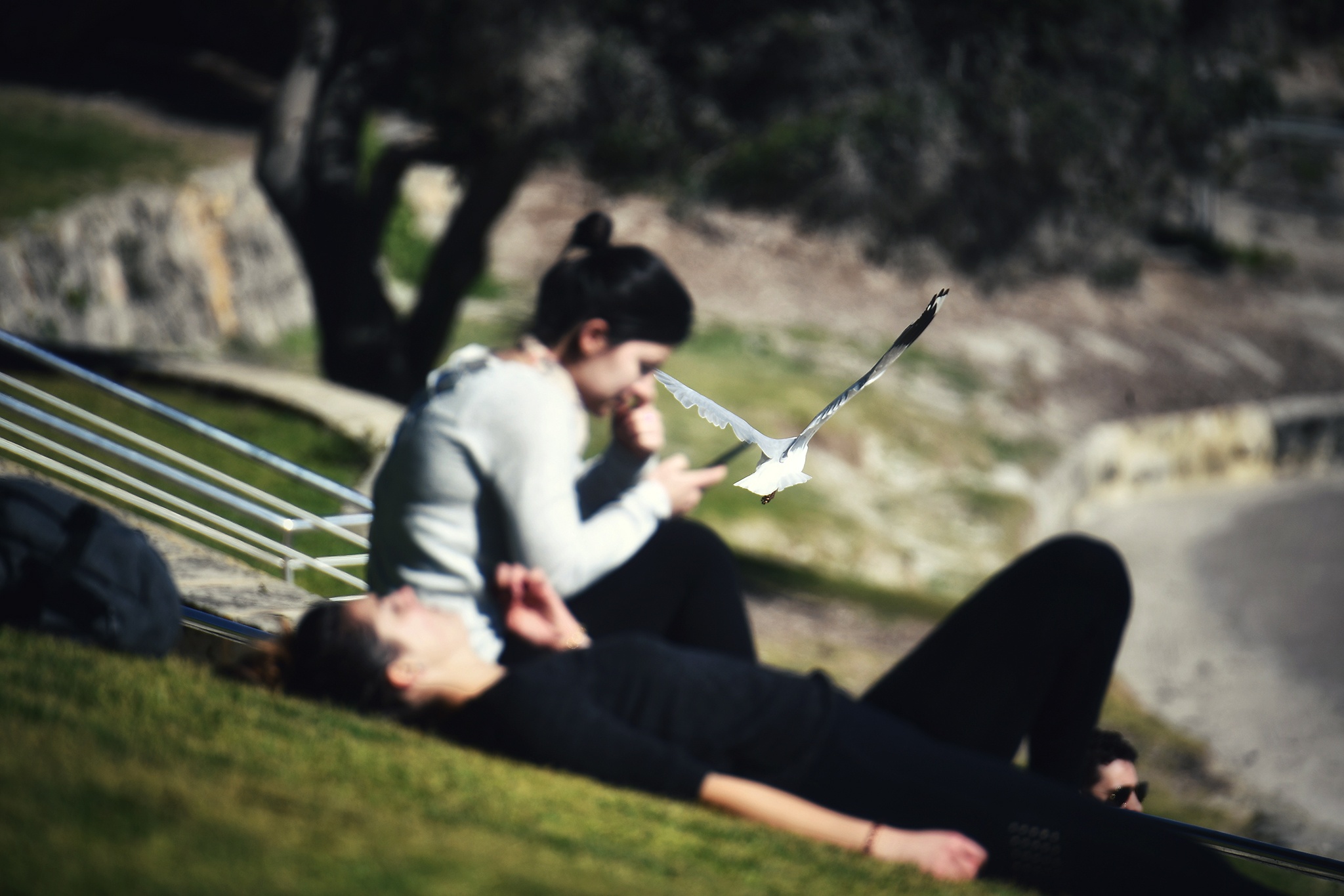 du lich Perth o Australia anh 22