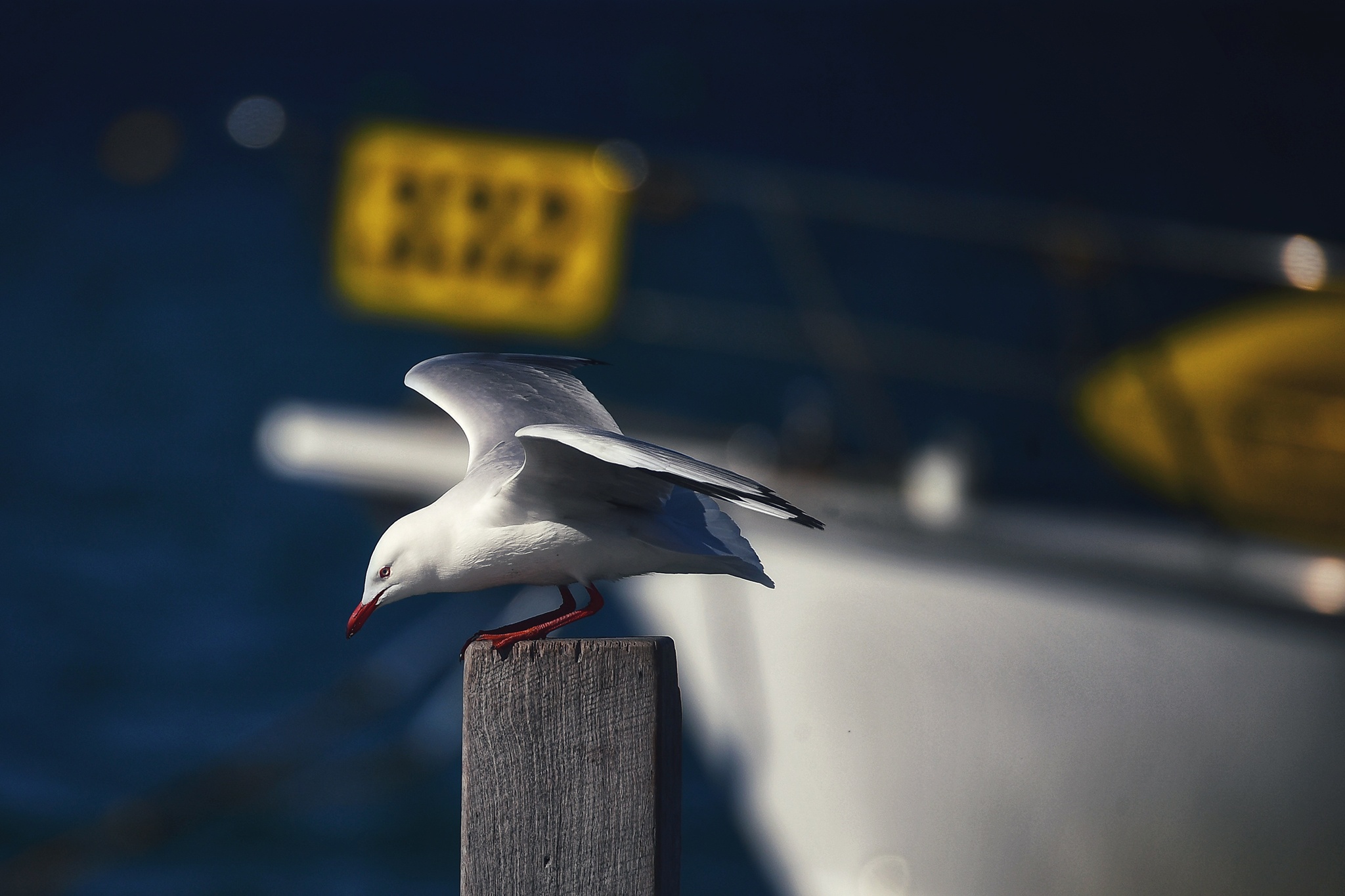 du lich Perth o Australia anh 37