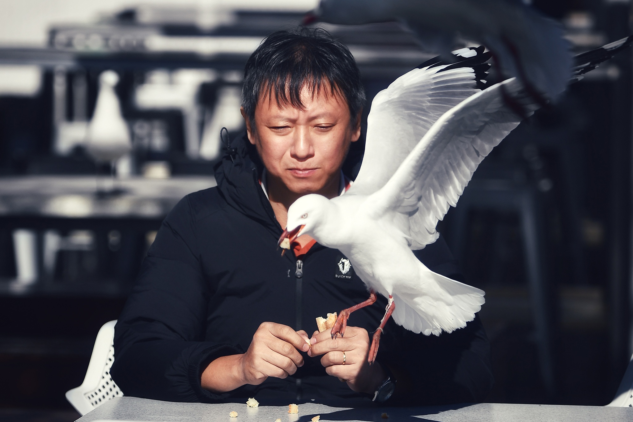 du lich Perth o Australia anh 39