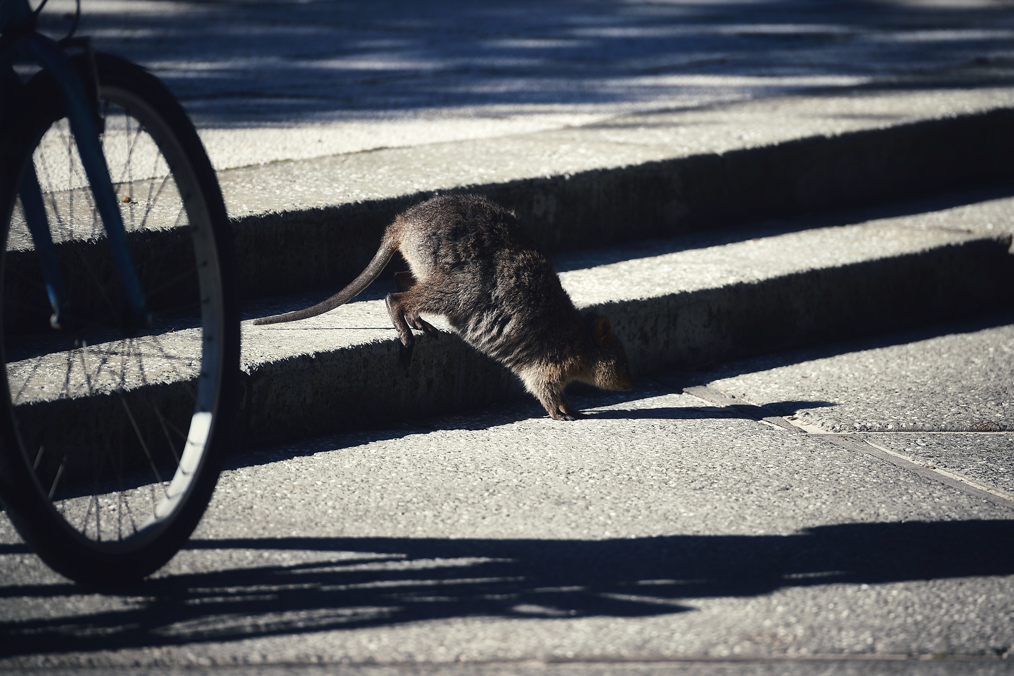 du lich Perth o Australia anh 41