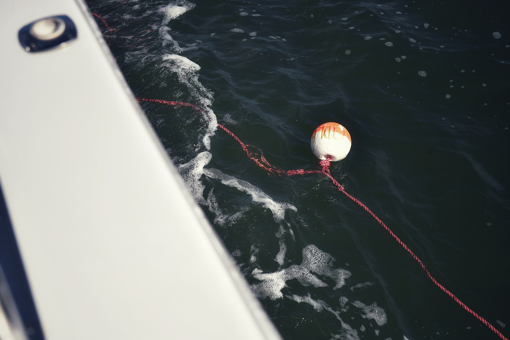 cau tom hum o Perth anh 4