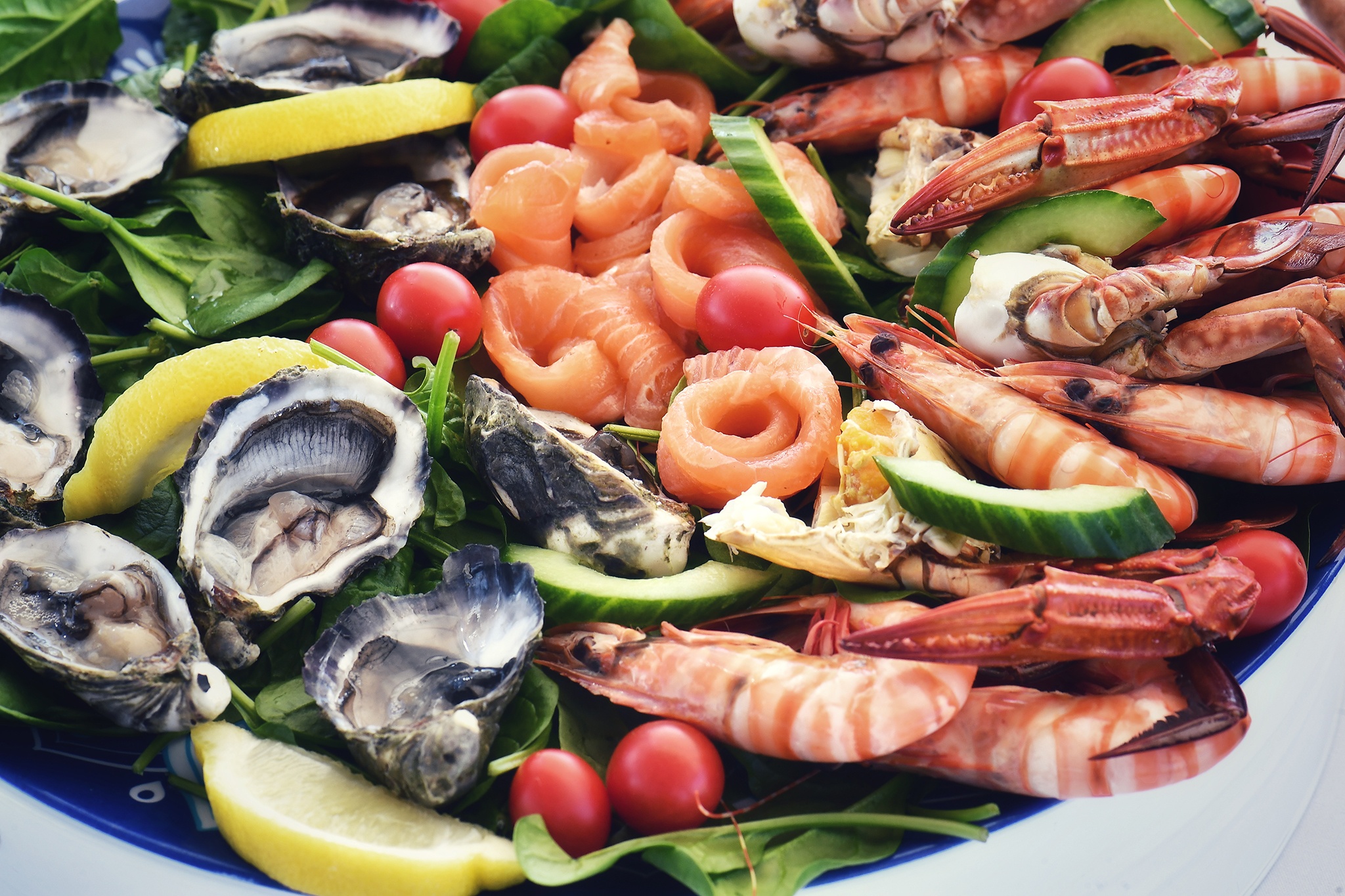 cau tom hum o Perth anh 13