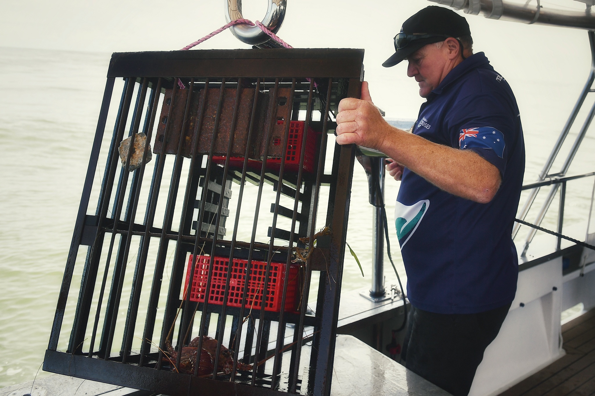 cau tom hum o Perth anh 6