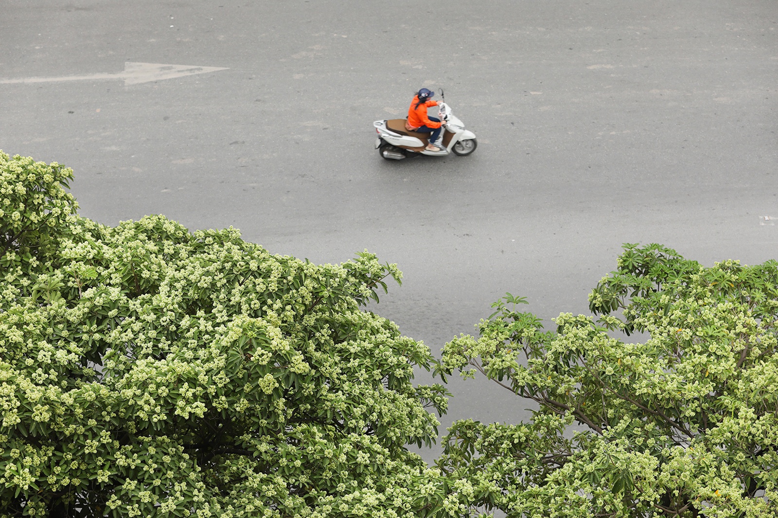 mua thu Ha Noi anh 21